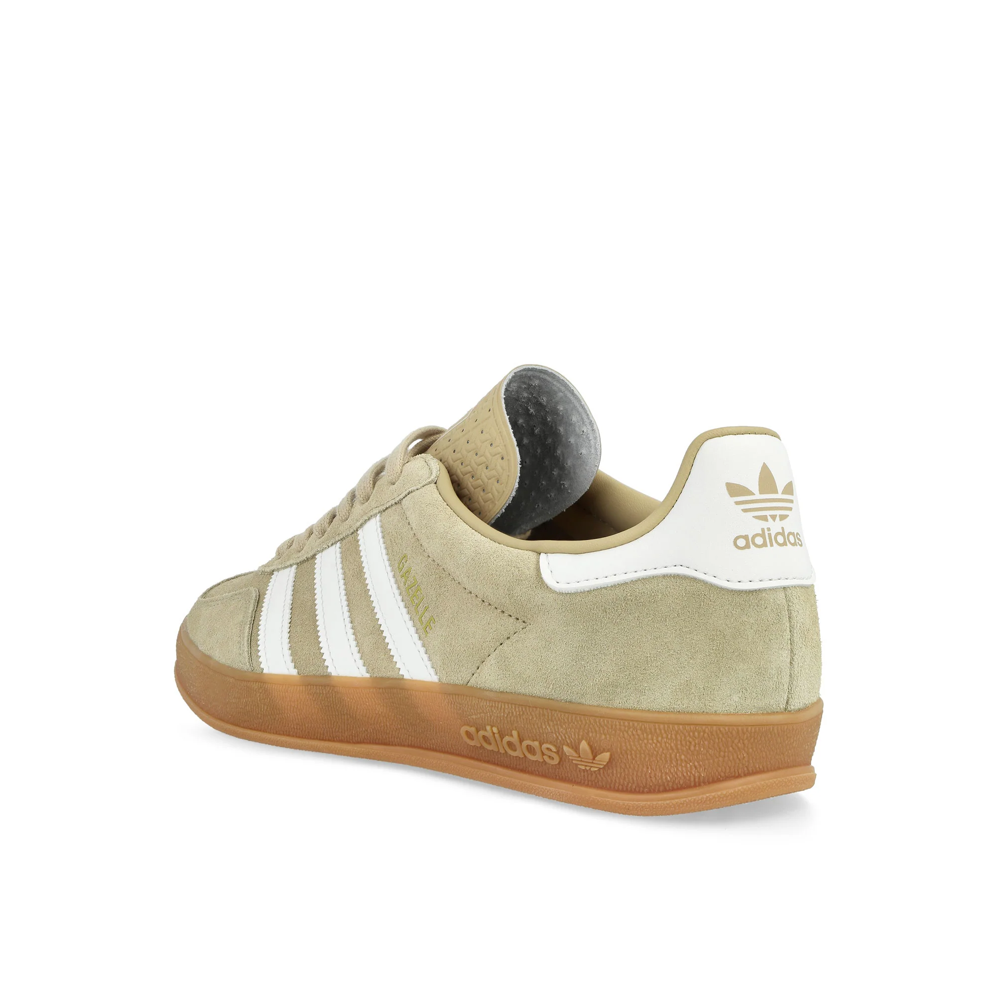 Gazelle Indoor - Image 3