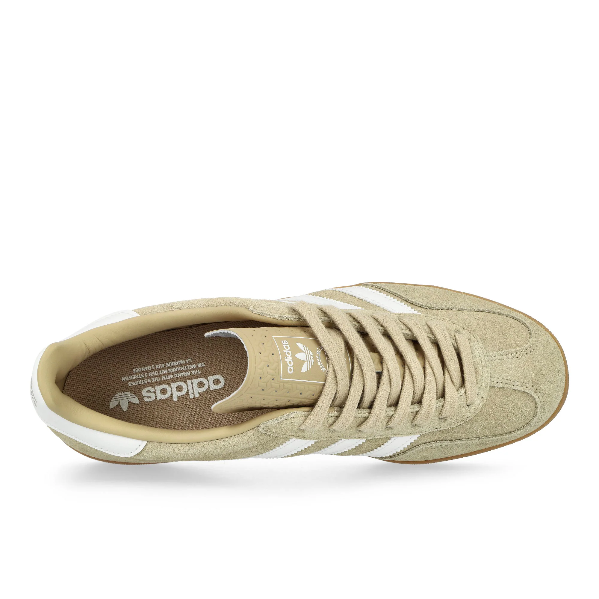 Gazelle Indoor - Image 5