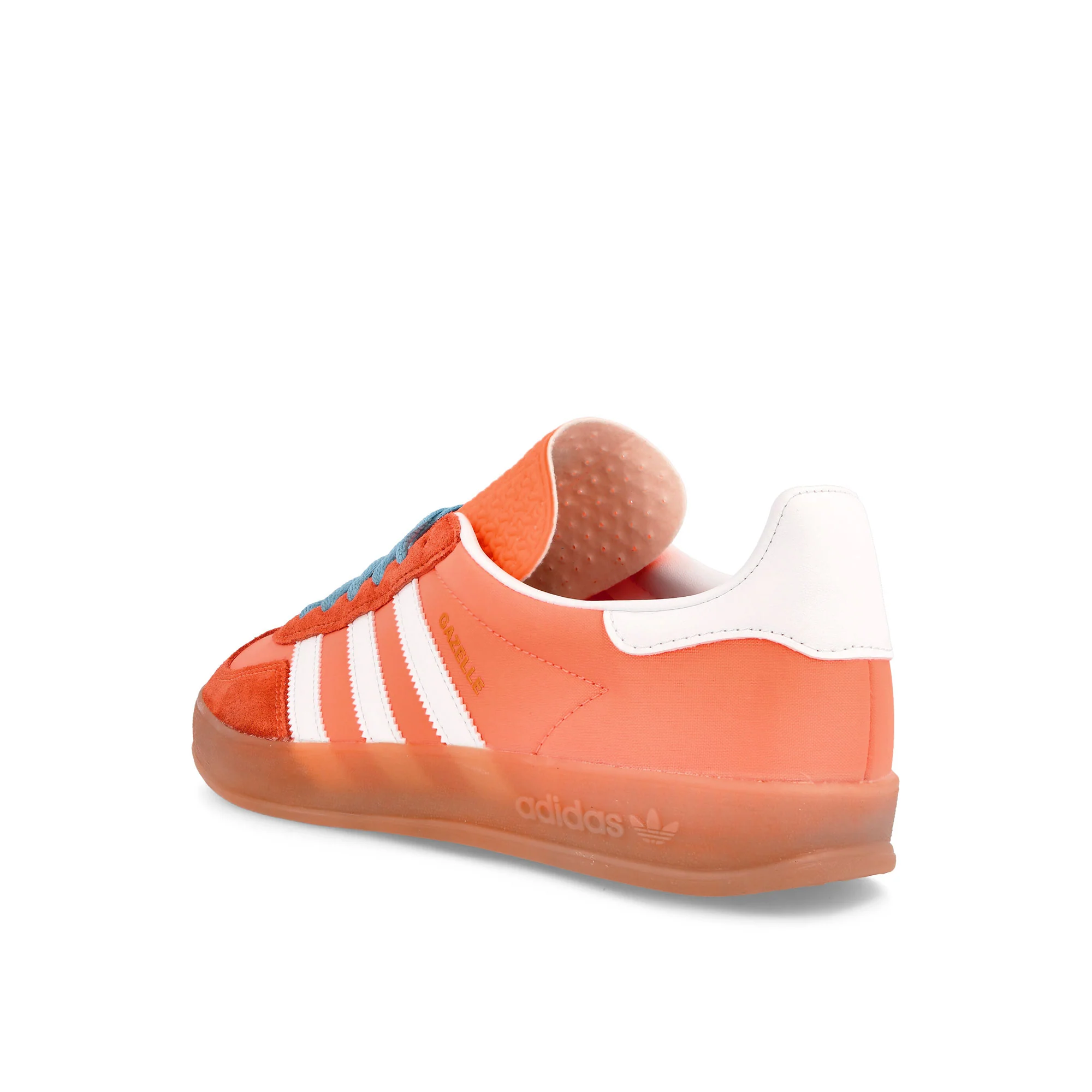 Gazelle Indoor - Image 3