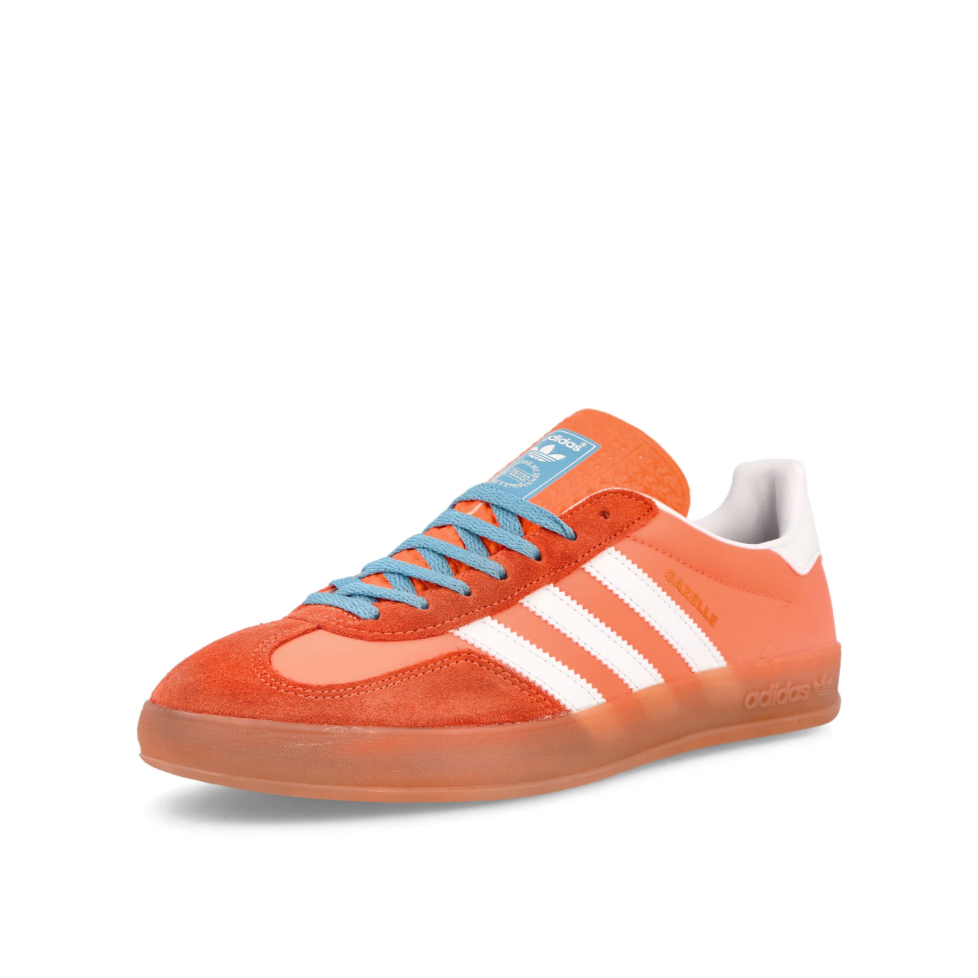 Gazelle Indoor - Image 4