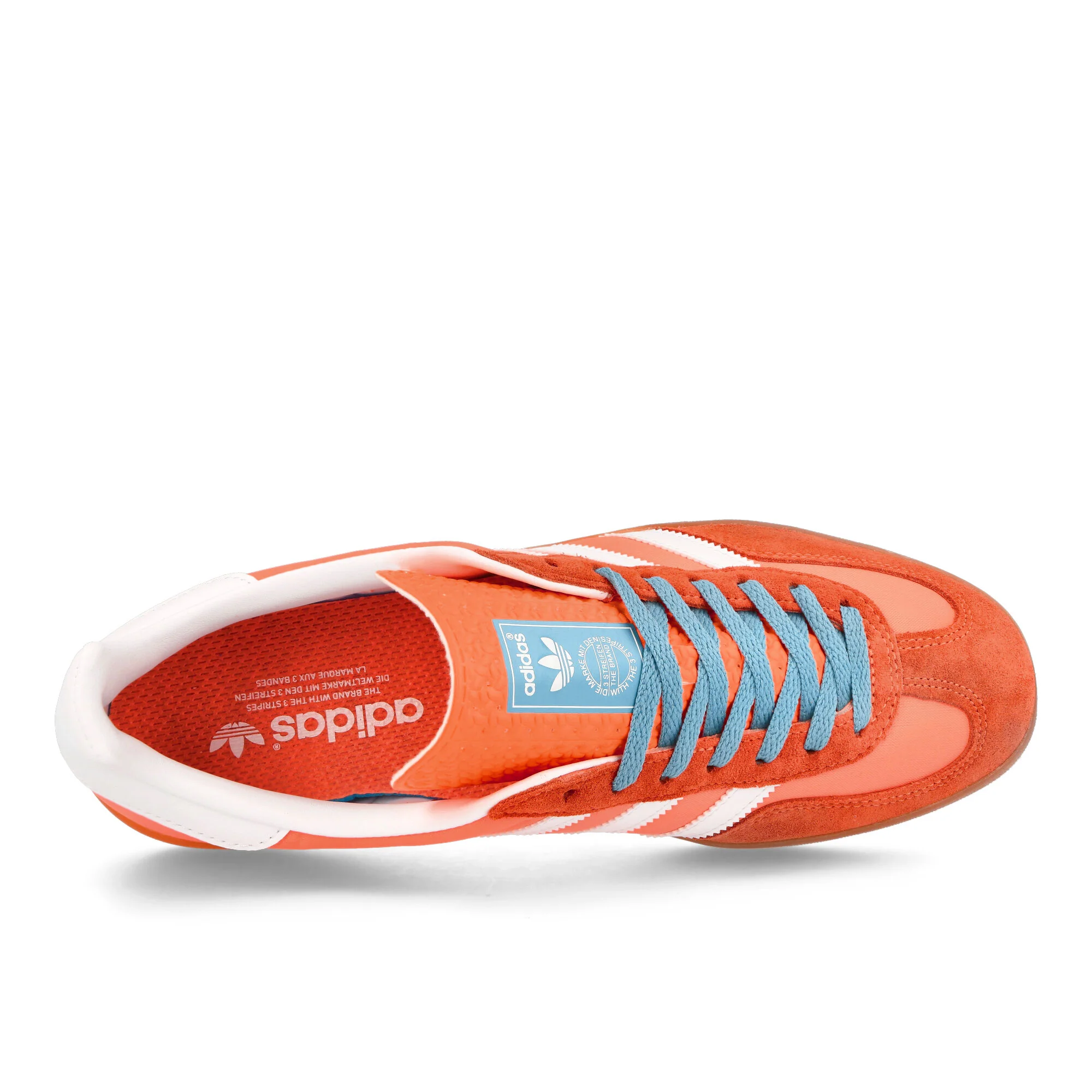Gazelle Indoor - Image 5