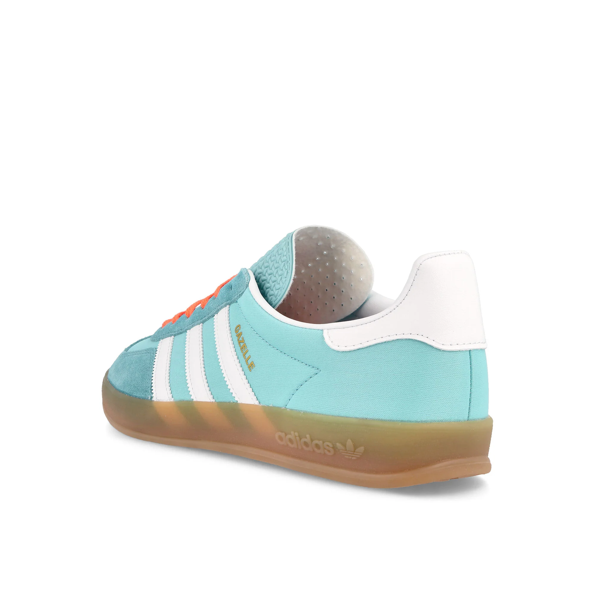 Gazelle Indoor - Image 3