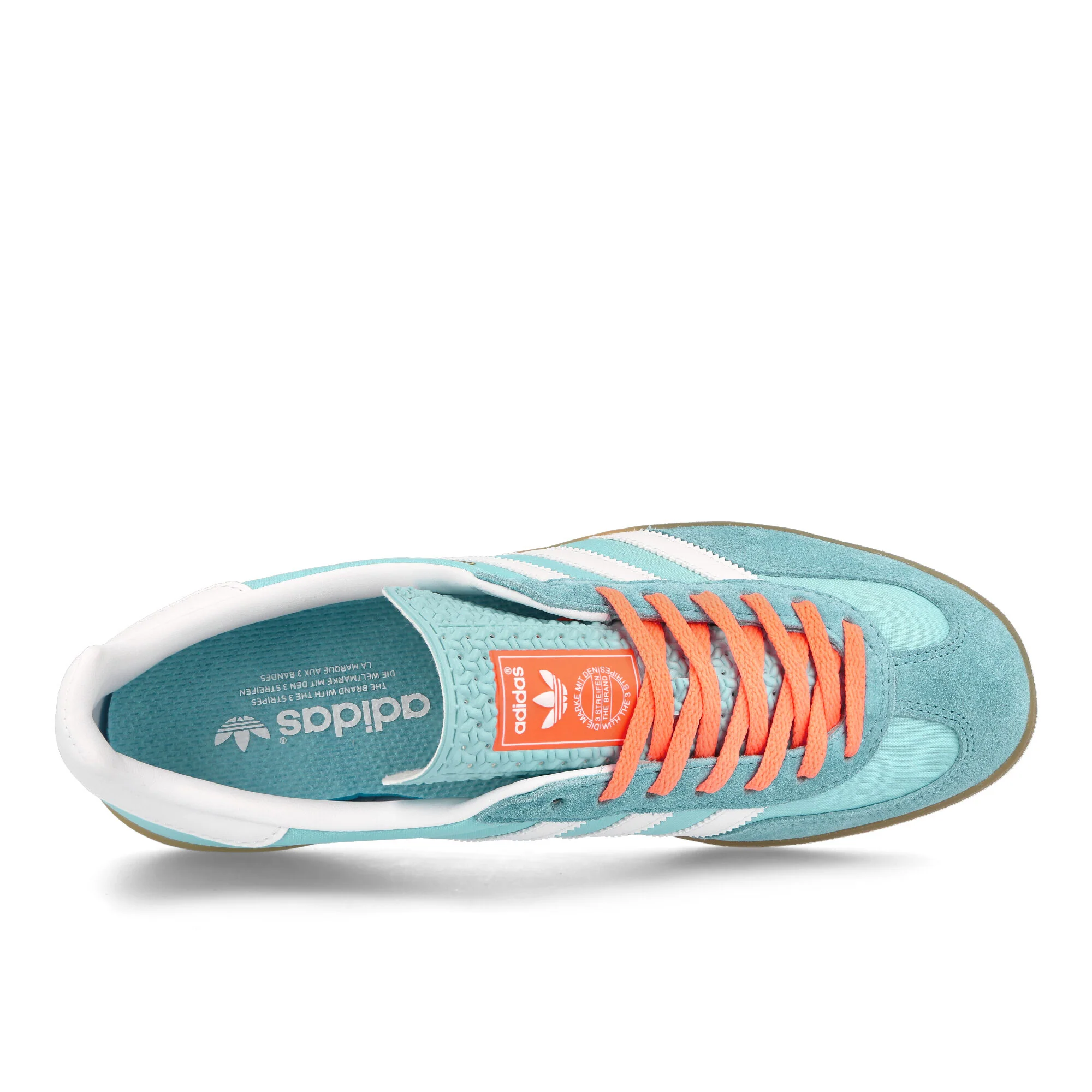 Gazelle Indoor - Image 5
