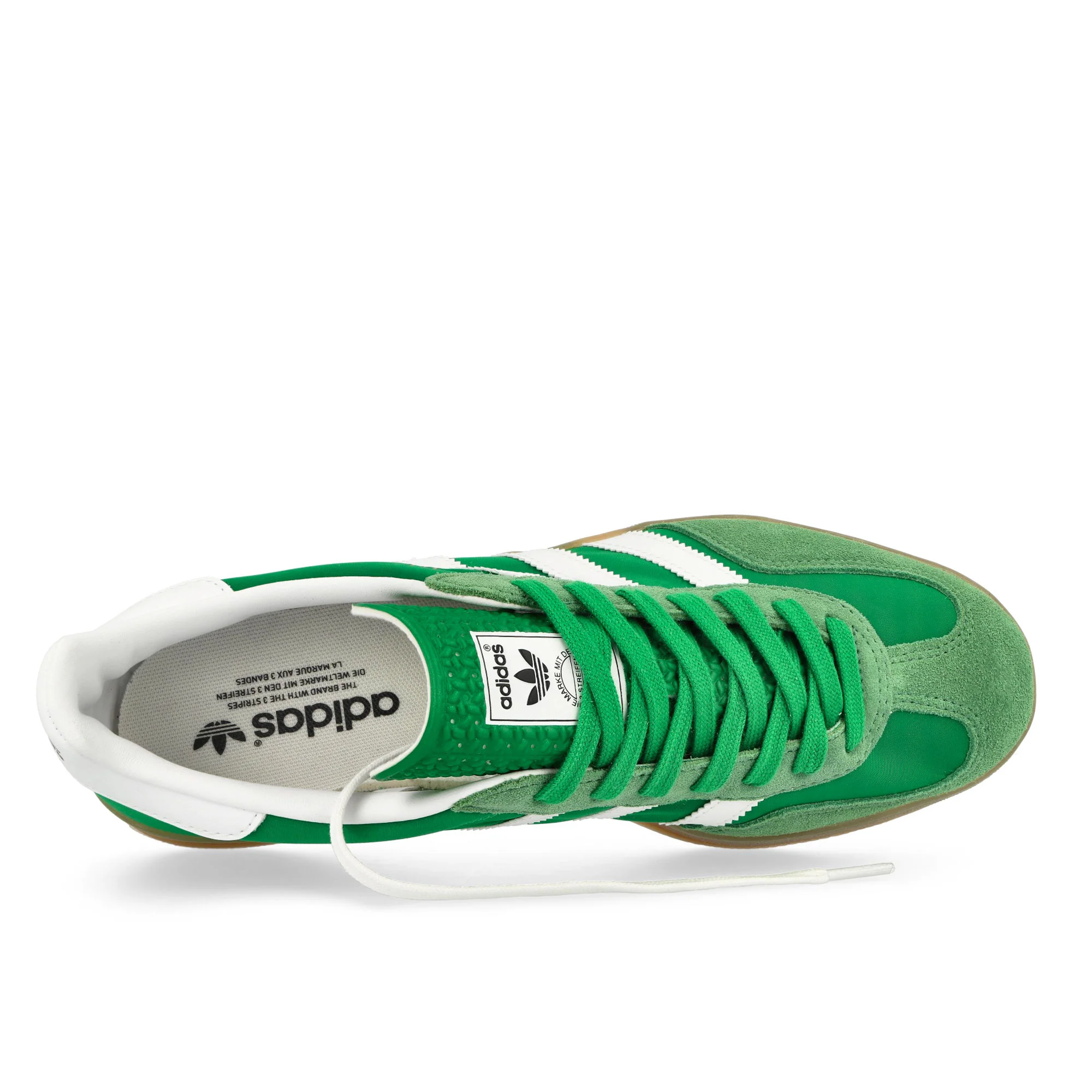 Gazelle Indoor - Image 5
