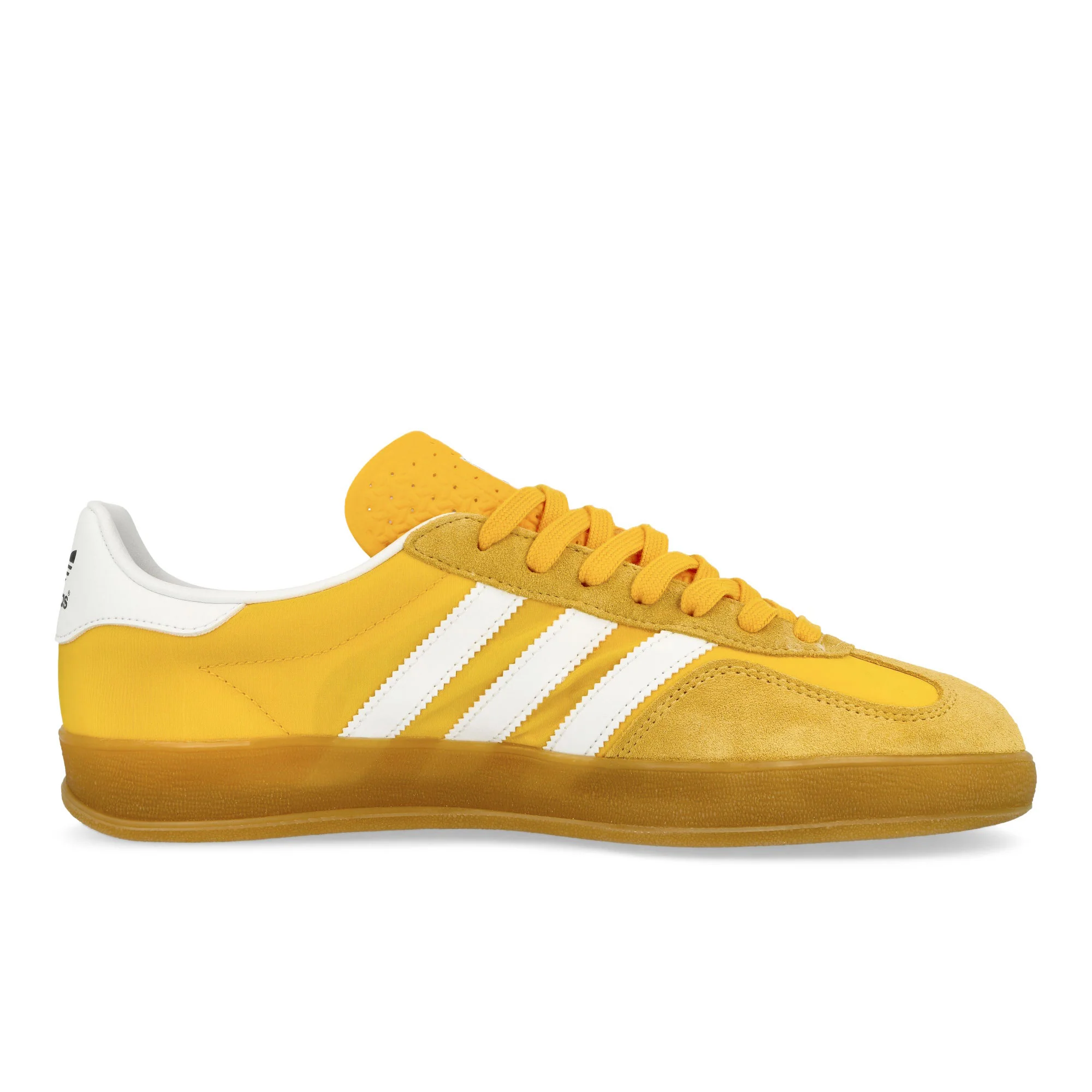 Gazelle Indoor - Image 2
