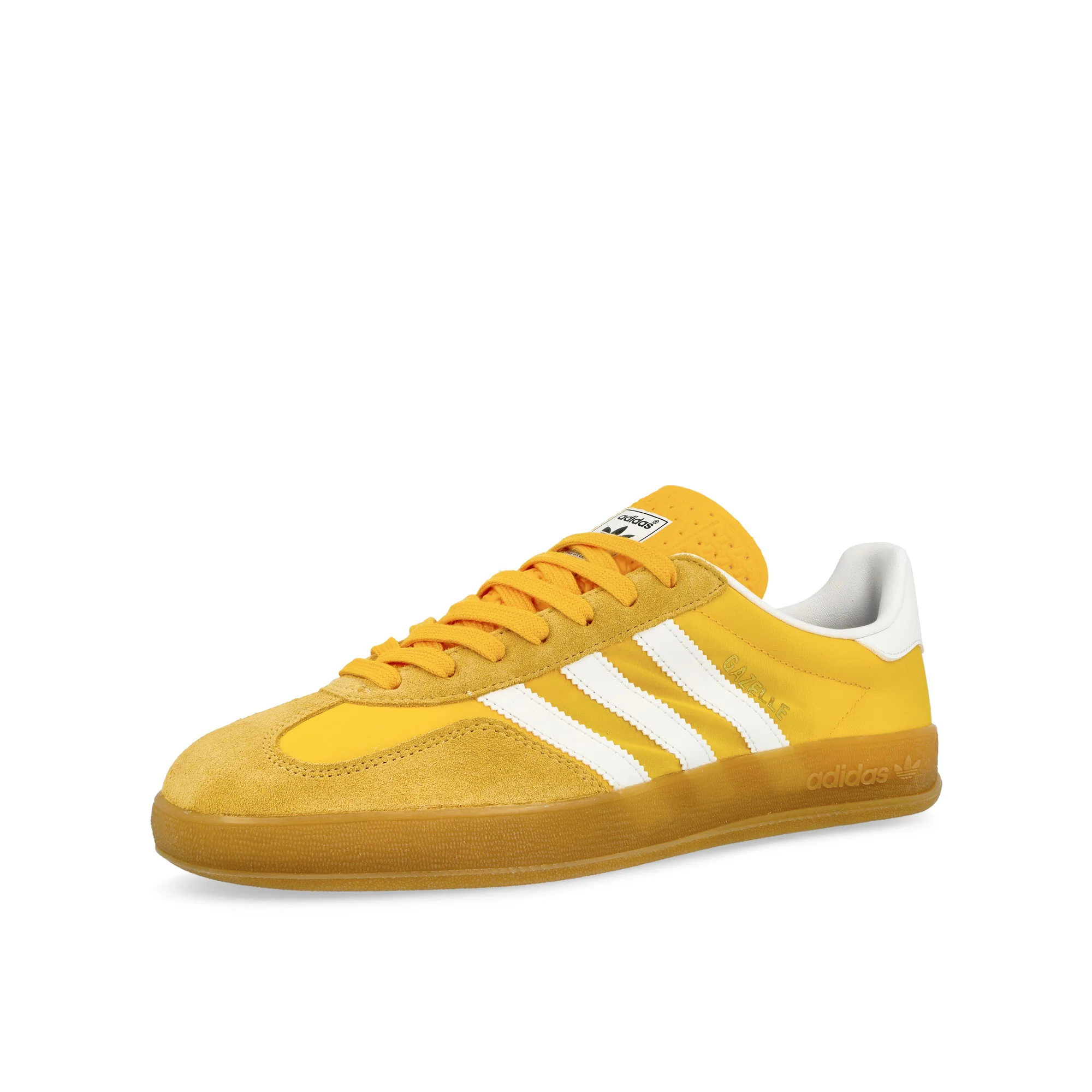 Gazelle Indoor - Image 4