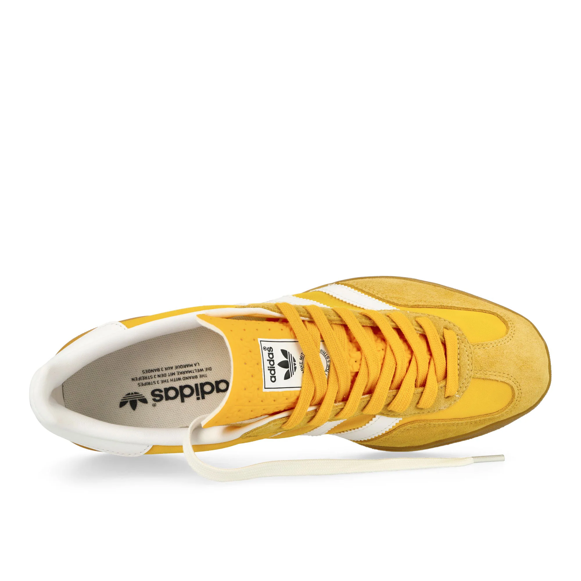Gazelle Indoor - Image 5