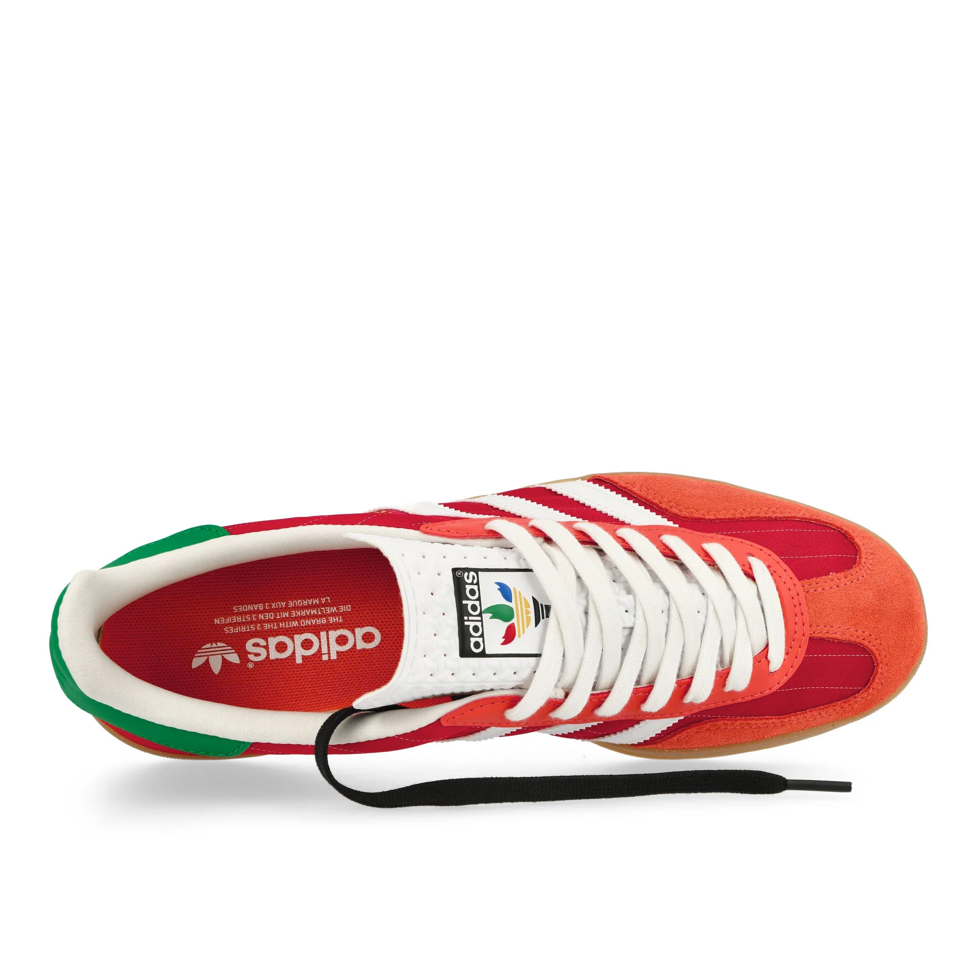 Gazelle Indoor - Image 5
