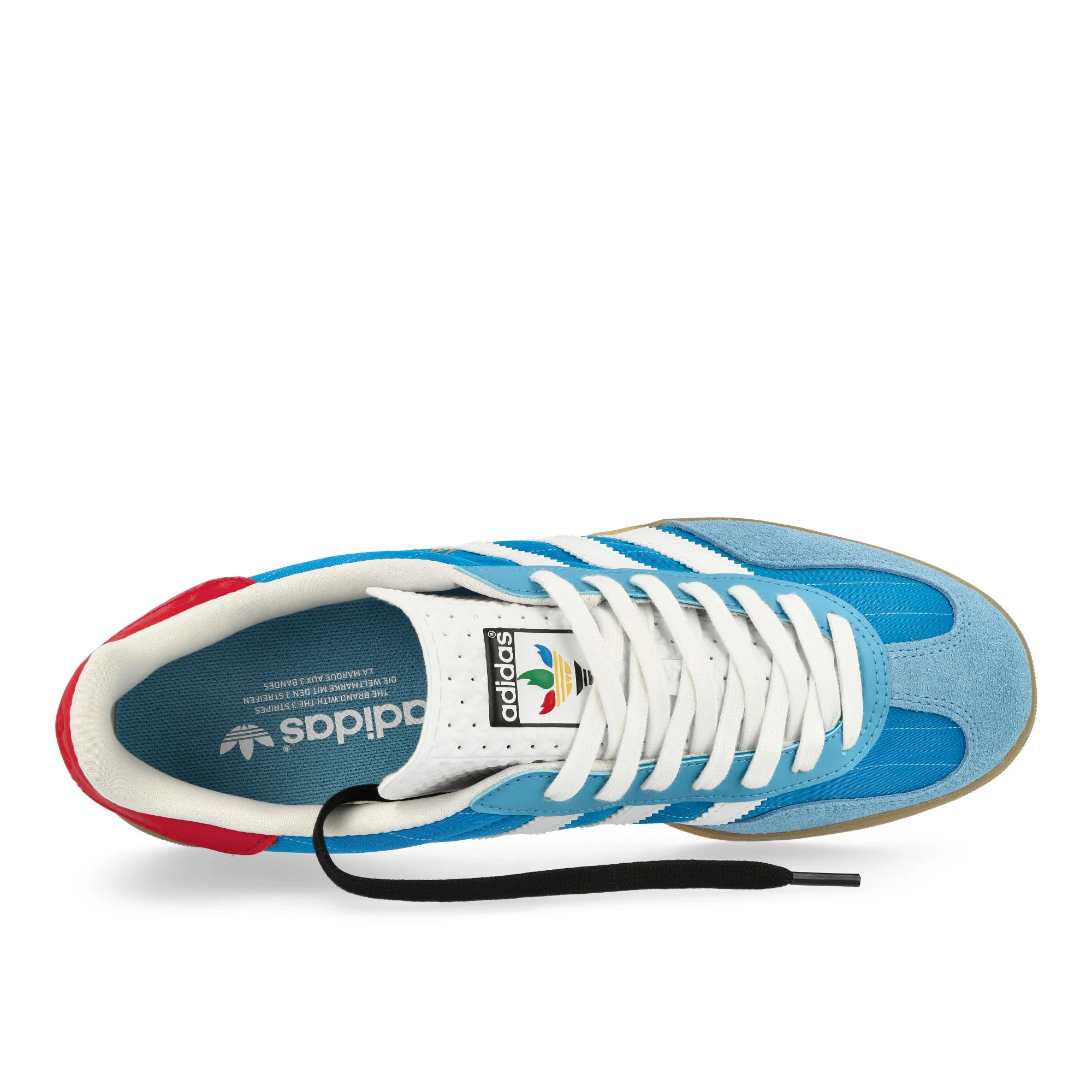 Gazelle Indoor - Image 5