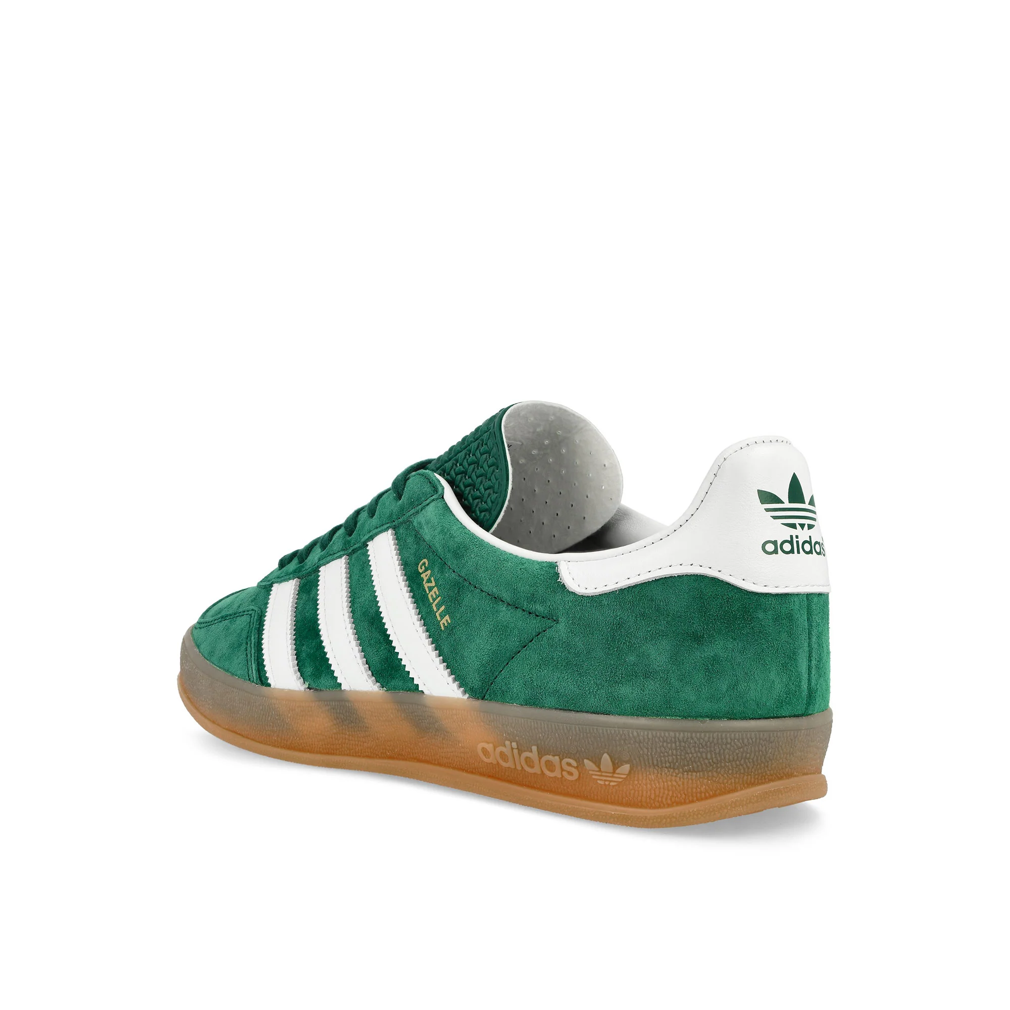 Gazelle Indoor - Image 3