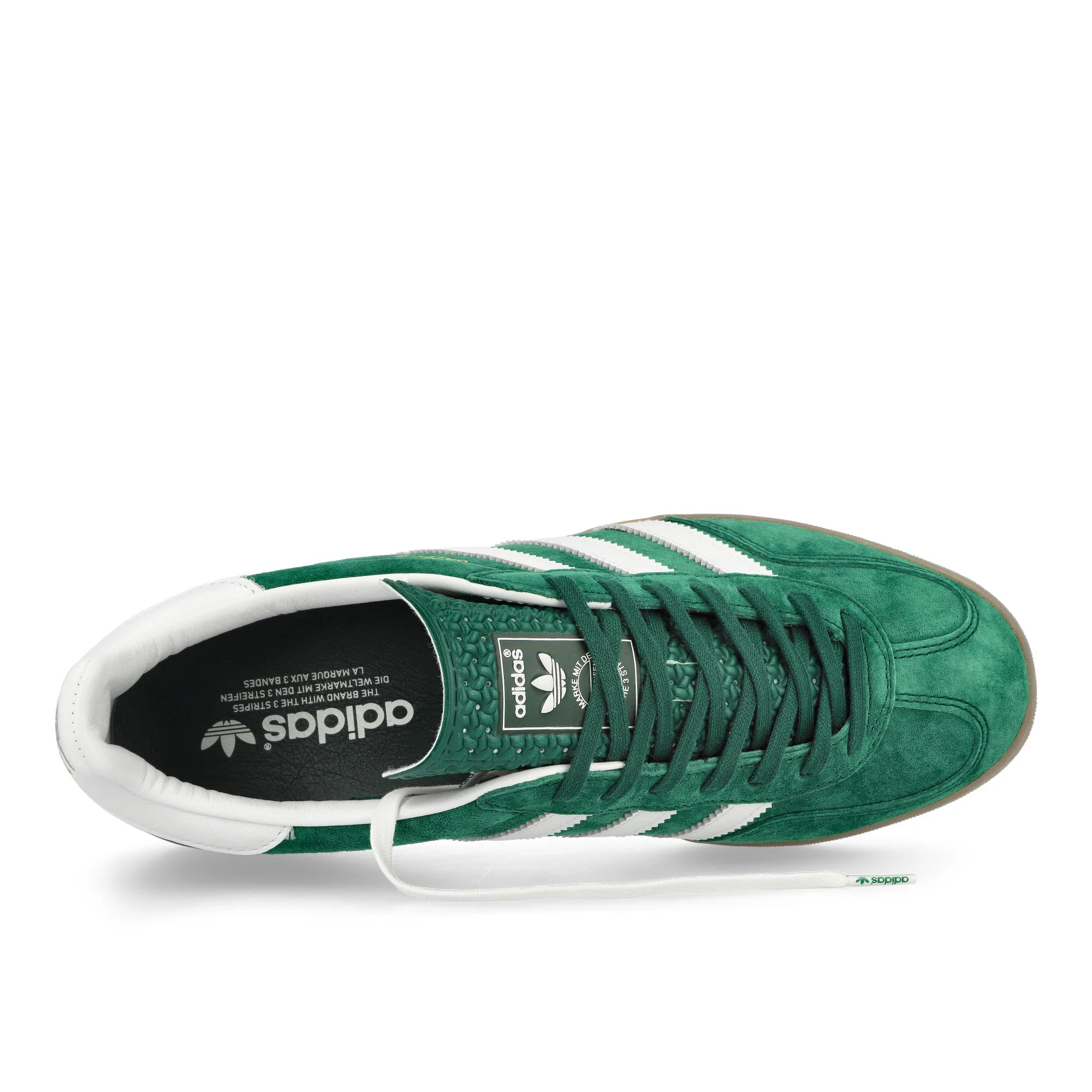 Gazelle Indoor - Image 5