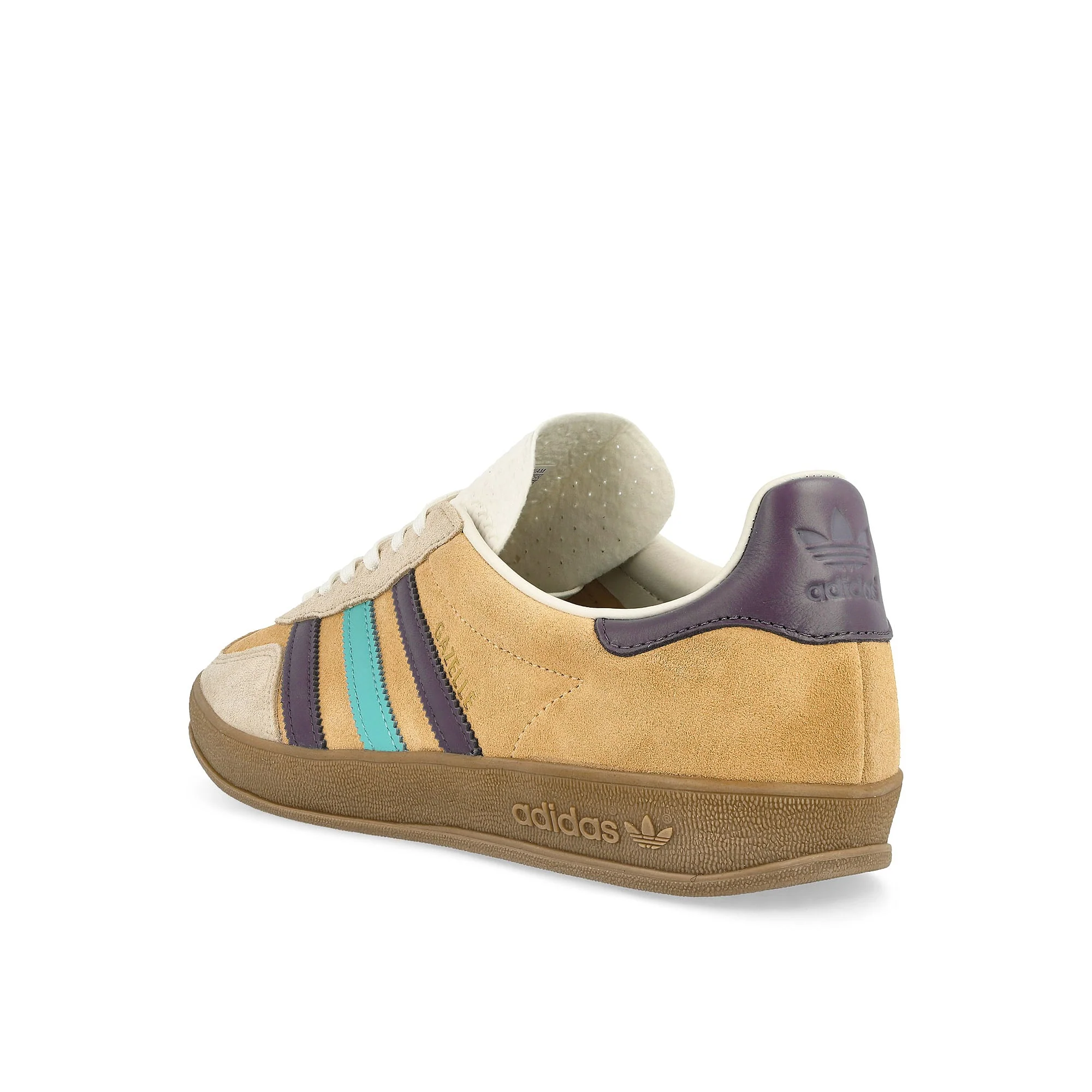 Gazelle Indoor - Image 3