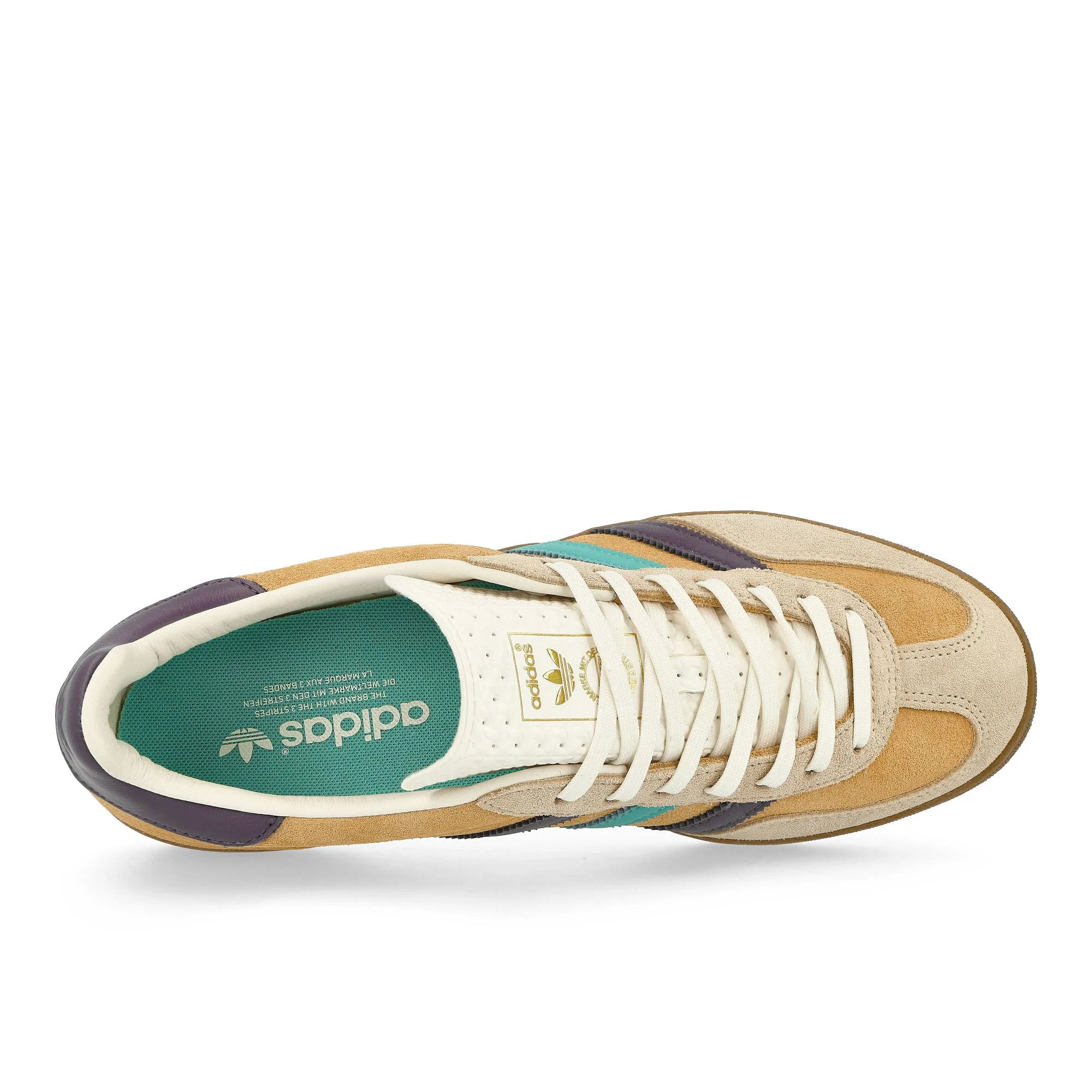 Gazelle Indoor - Image 5