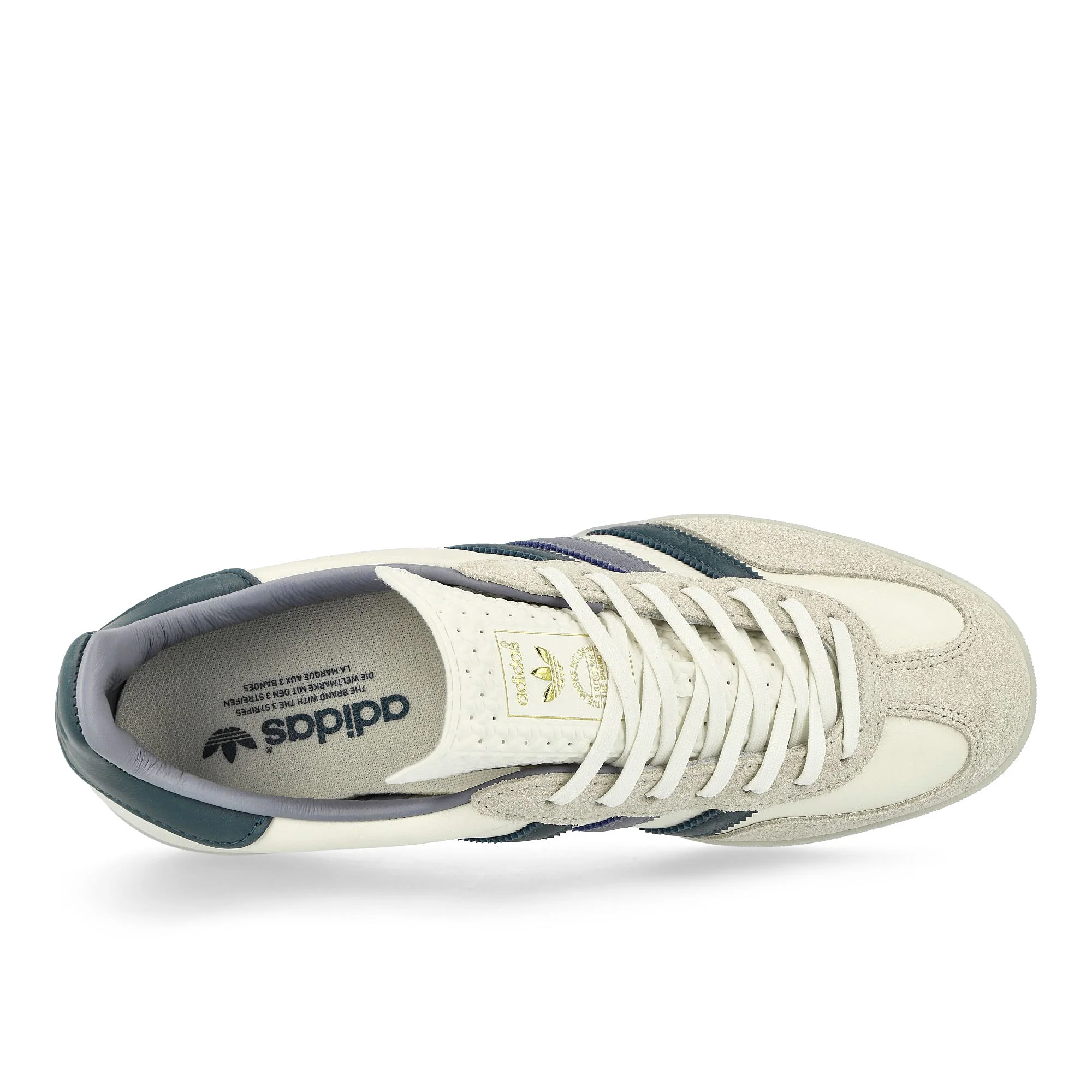 Gazelle Indoor - Image 5
