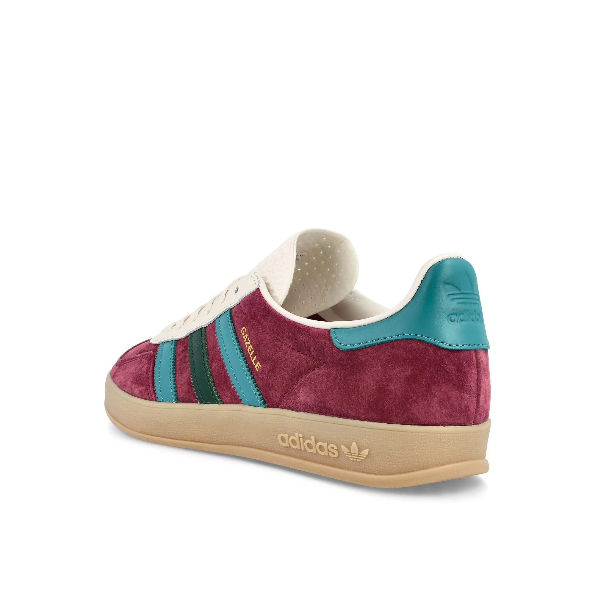 Gazelle Indoor - Image 3