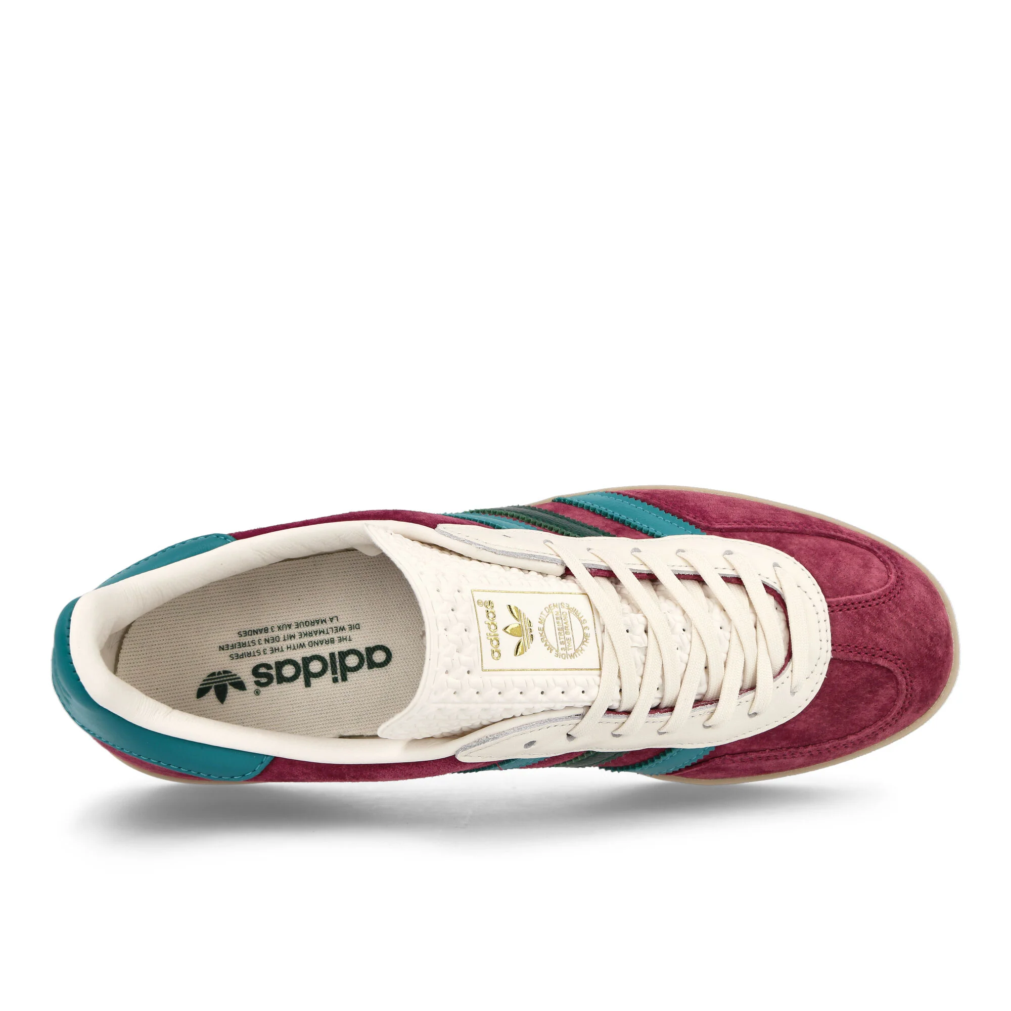 Gazelle Indoor - Image 5