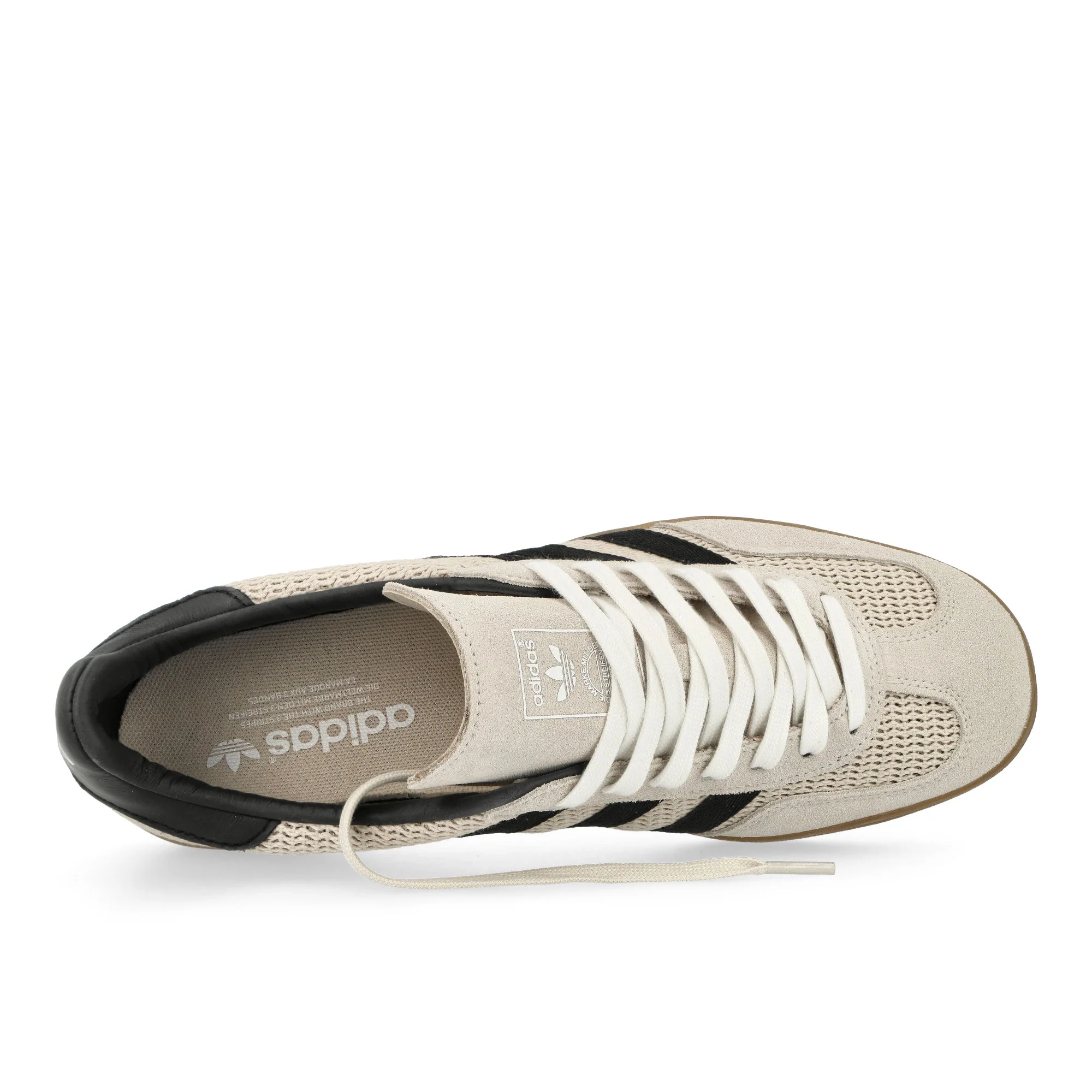 Gazelle Indoor - Image 5