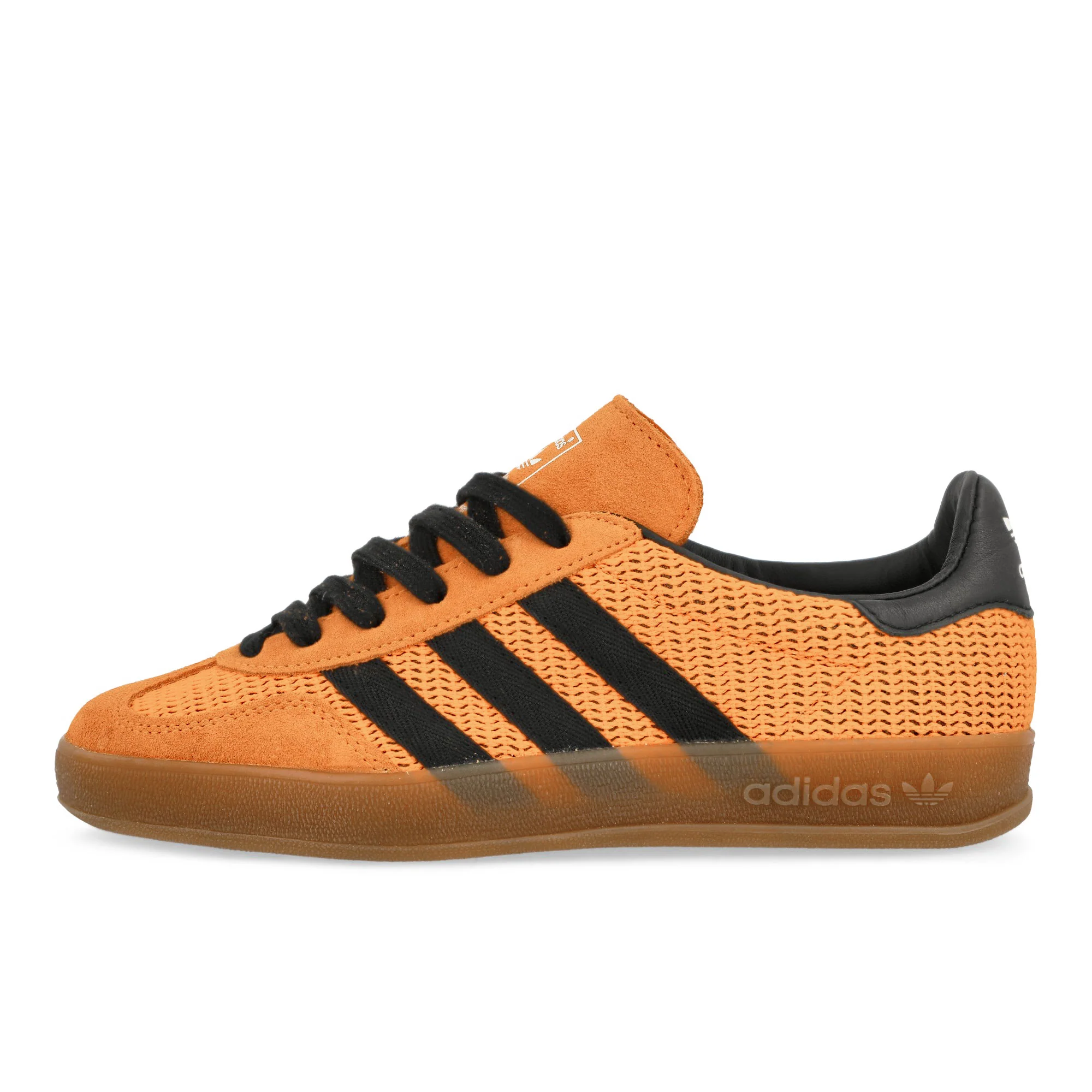 Gazelle Indoor