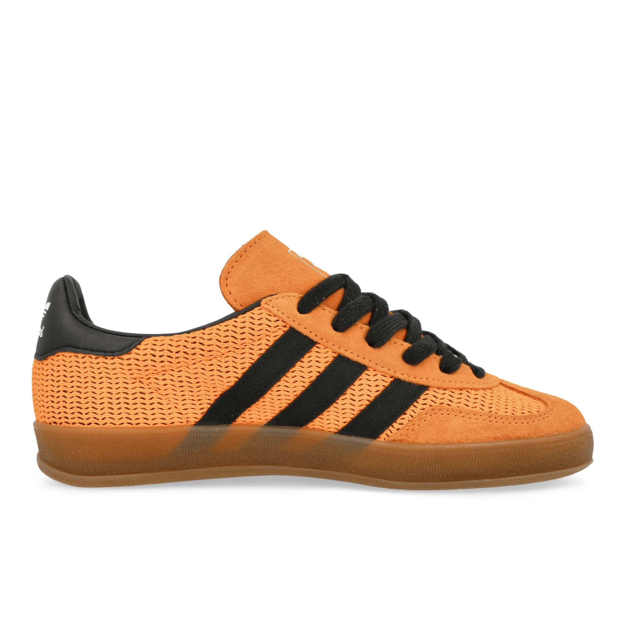 Gazelle Indoor - Image 2