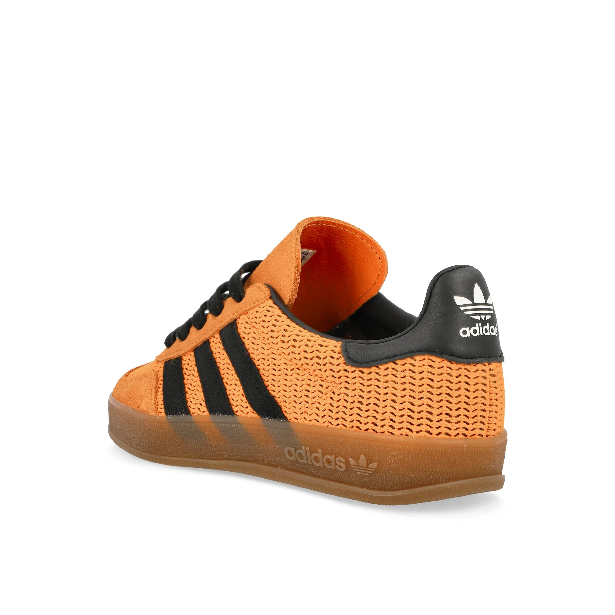 Gazelle Indoor - Image 3