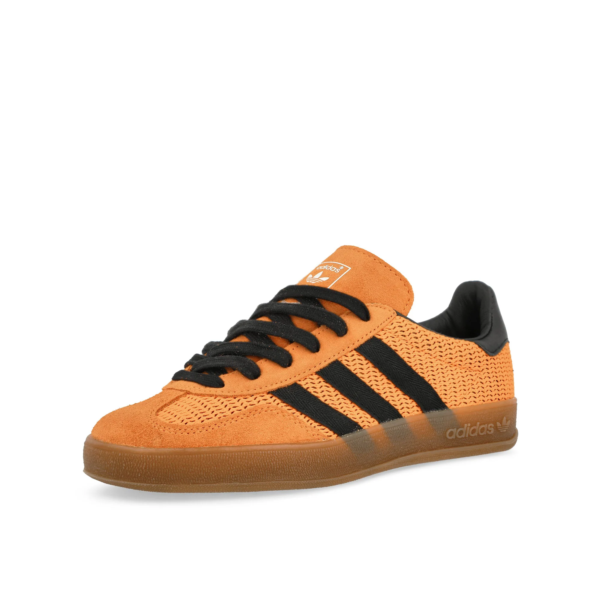Gazelle Indoor - Image 4