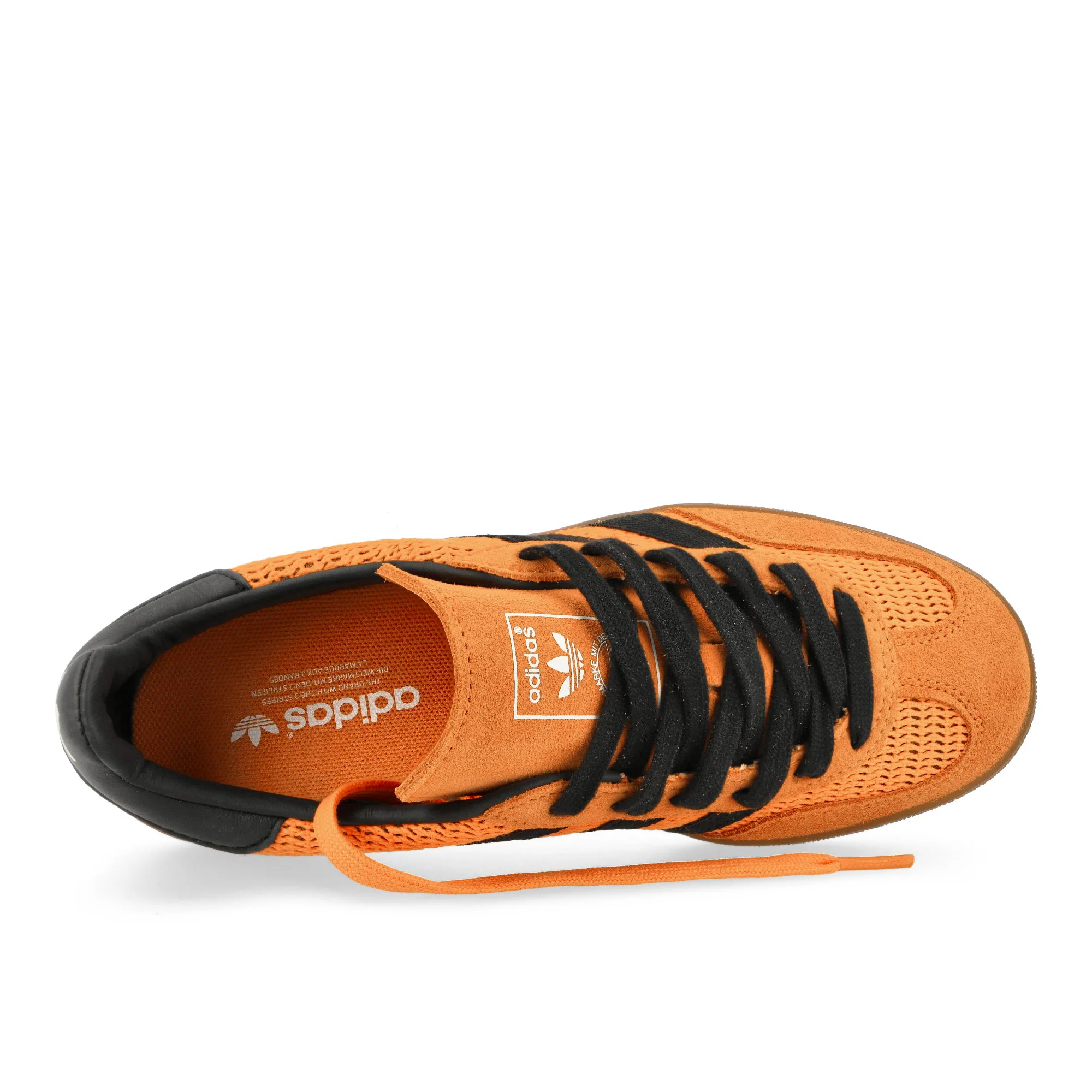 Gazelle Indoor - Image 5