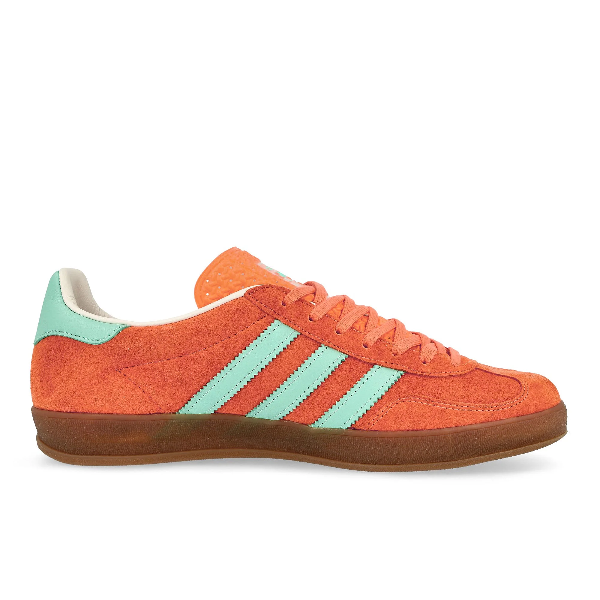 Gazelle Indoor - Image 2