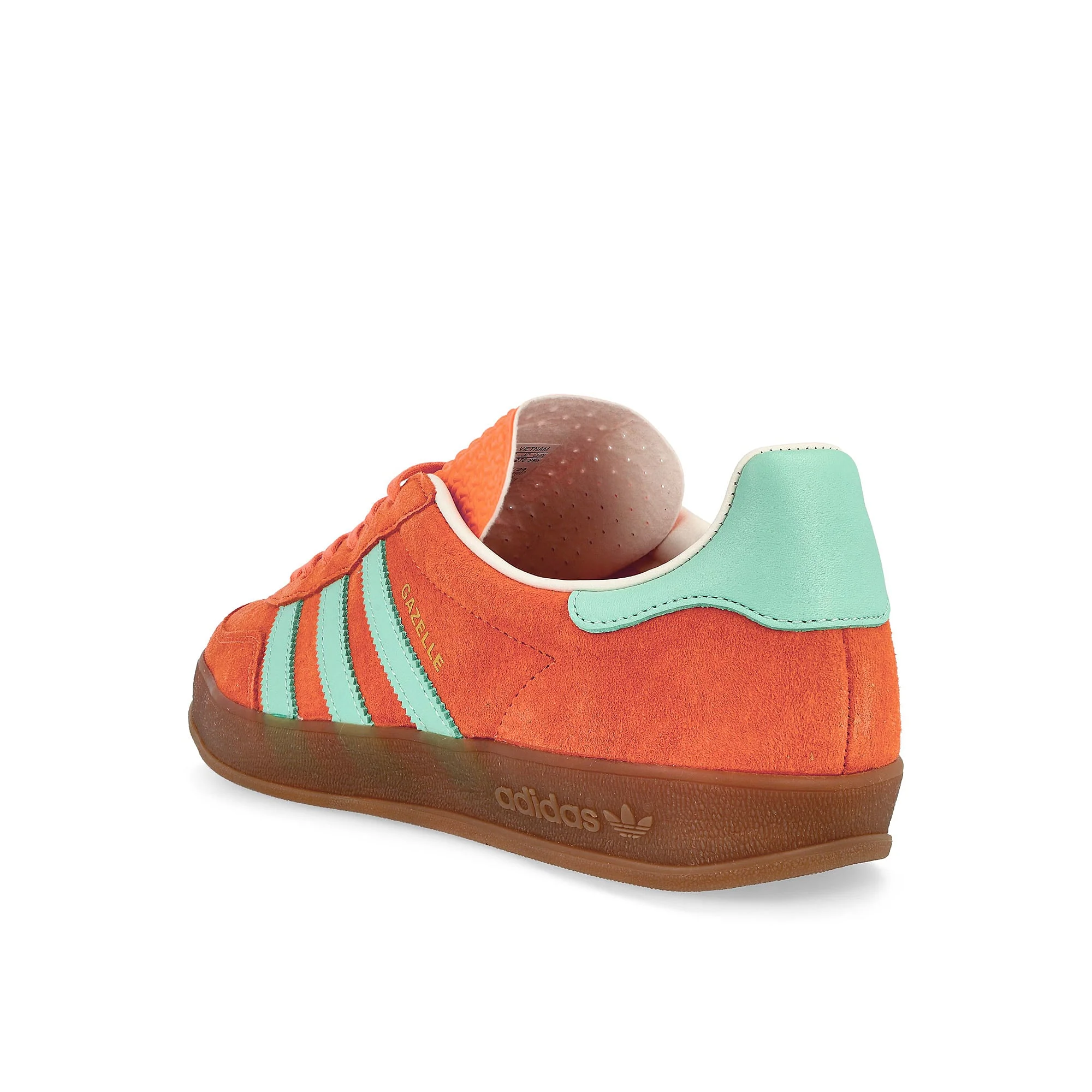 Gazelle Indoor - Image 3