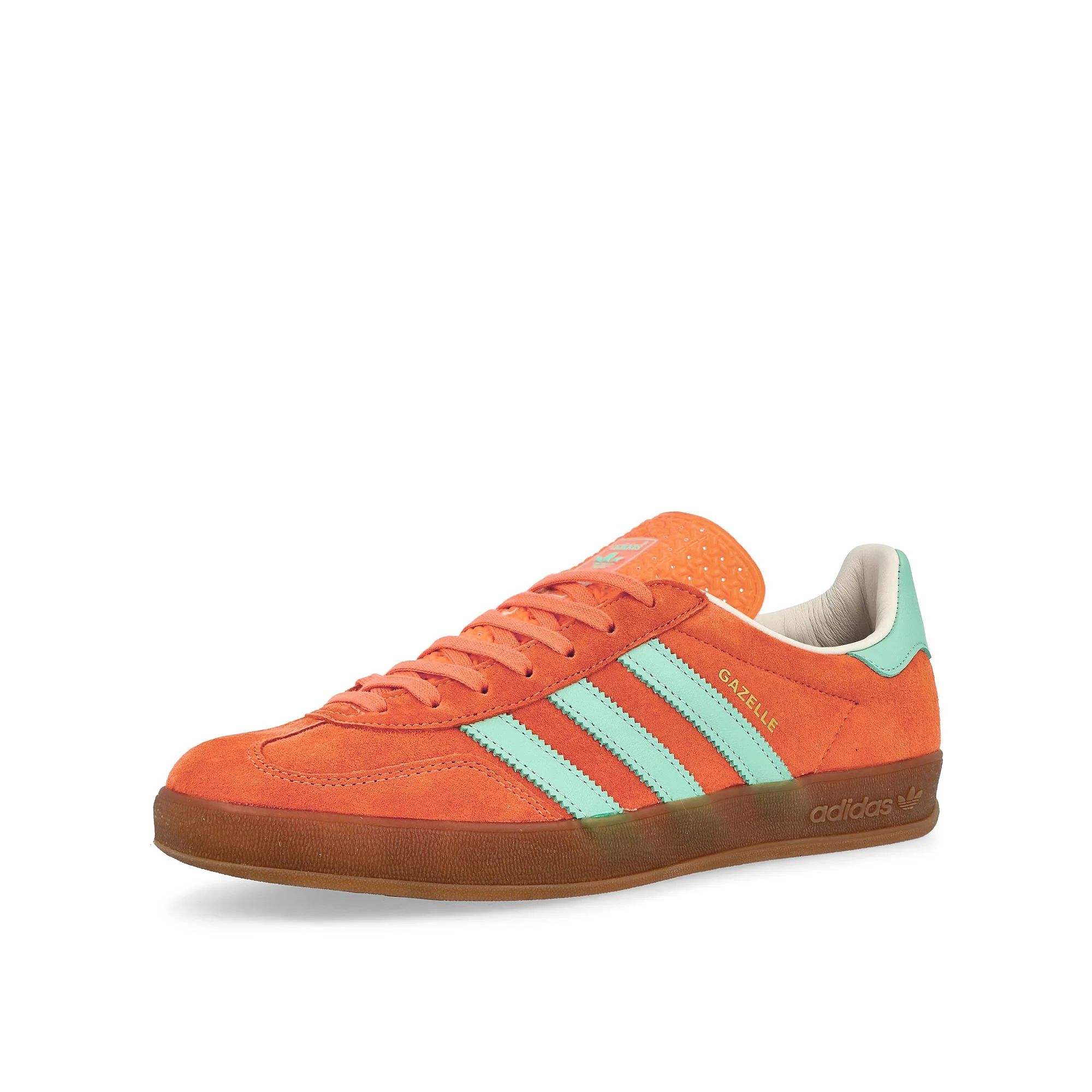 Gazelle Indoor - Image 4