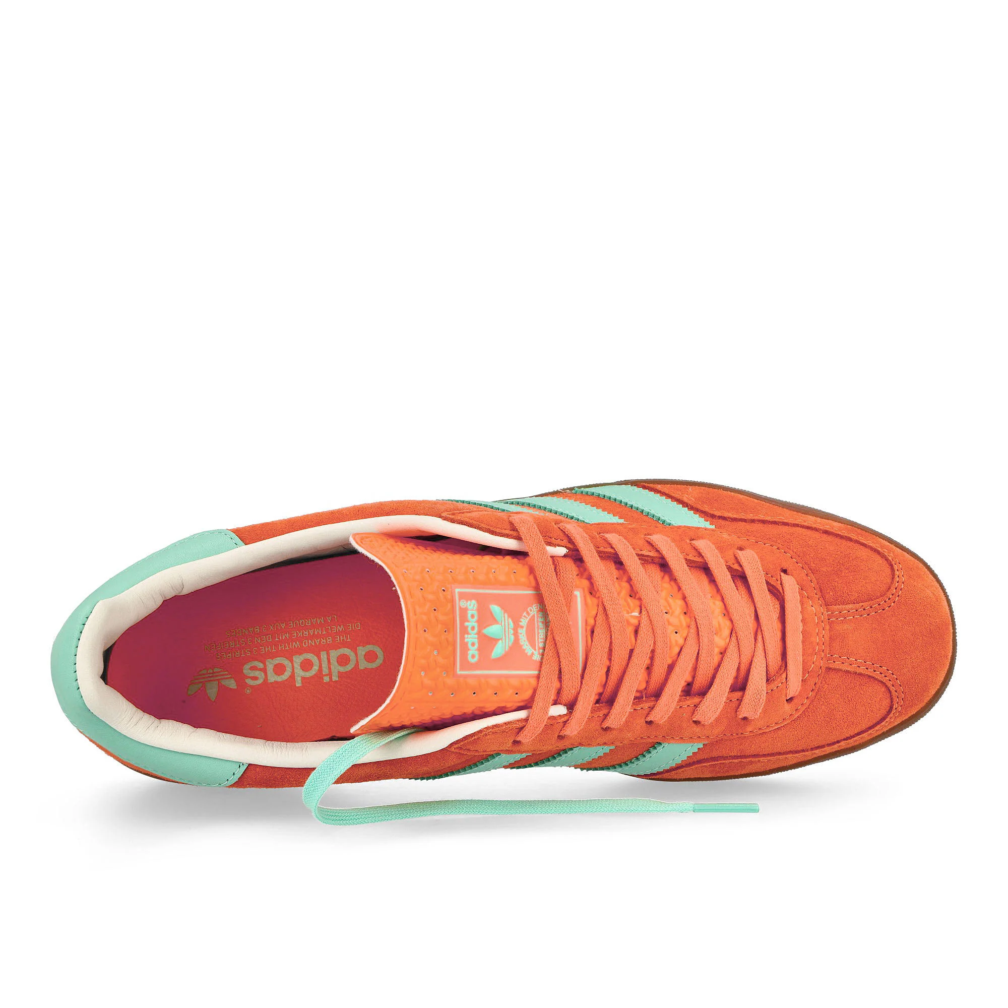 Gazelle Indoor - Image 5