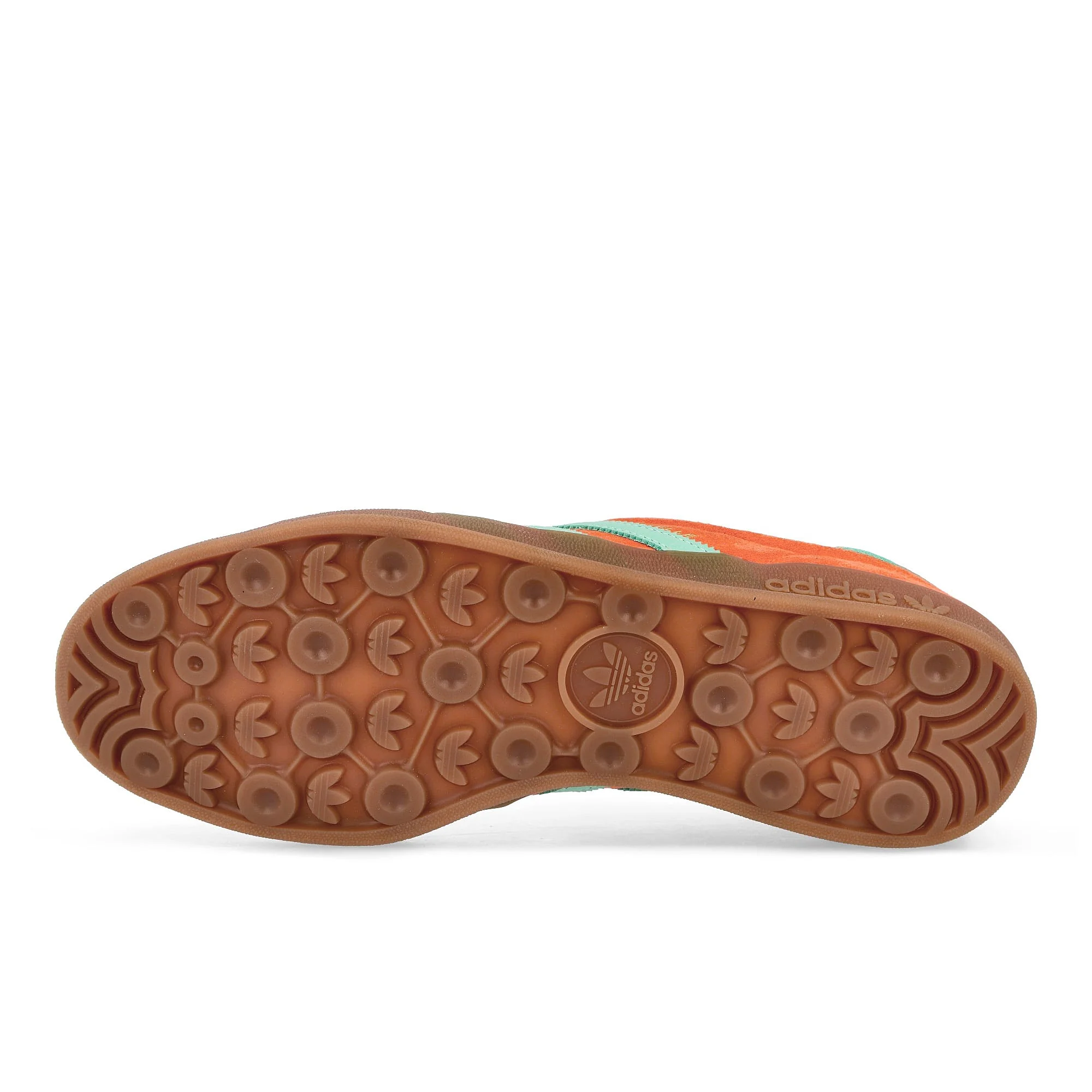 Gazelle Indoor - Image 6