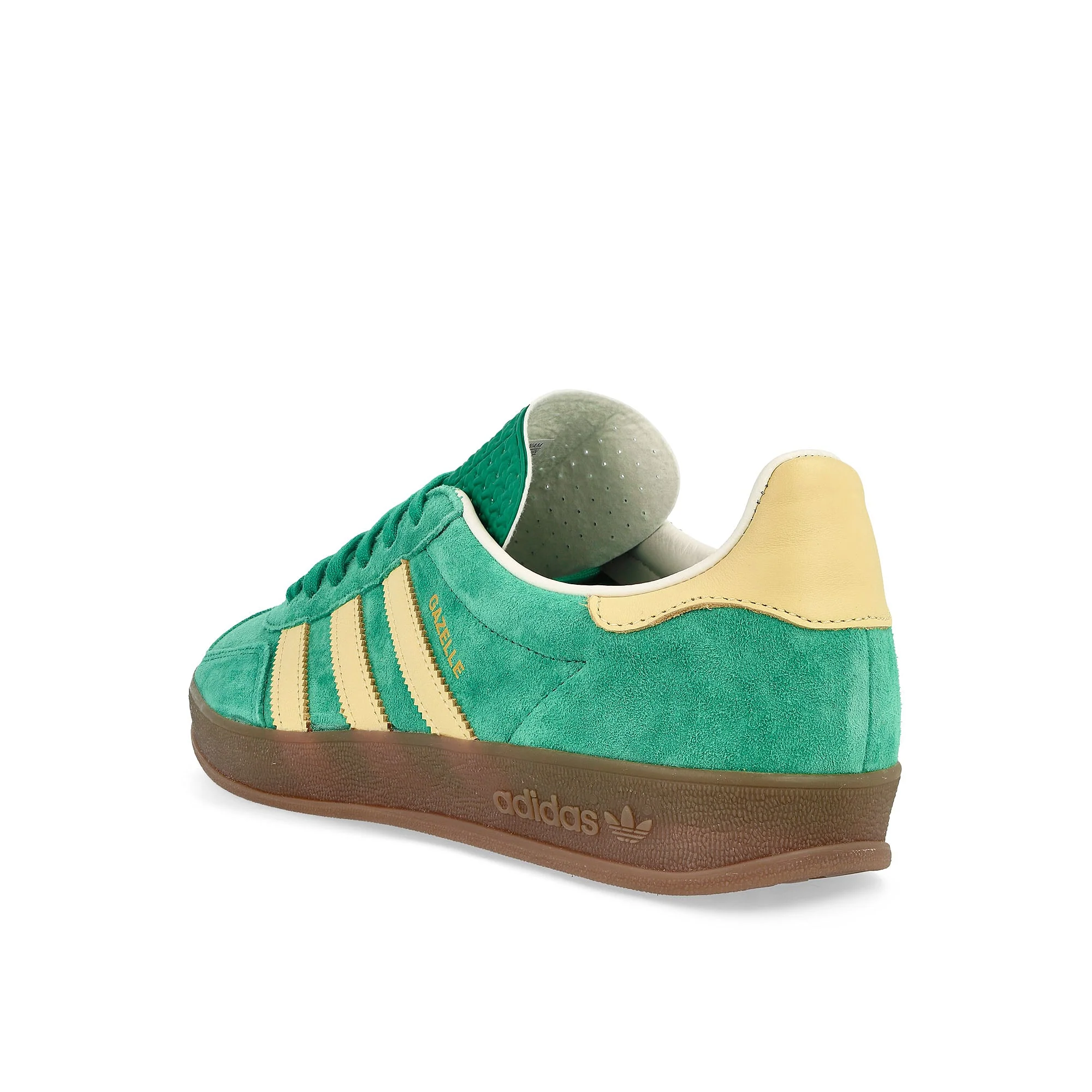 Gazelle Indoor - Image 3