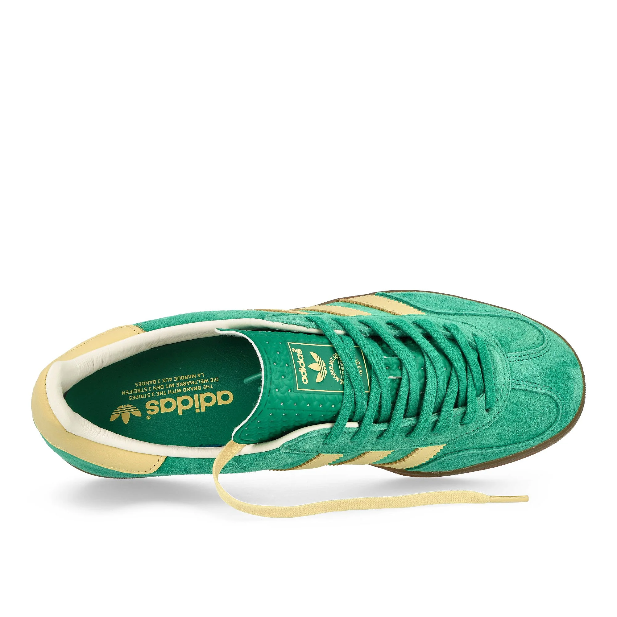 Gazelle Indoor - Image 5