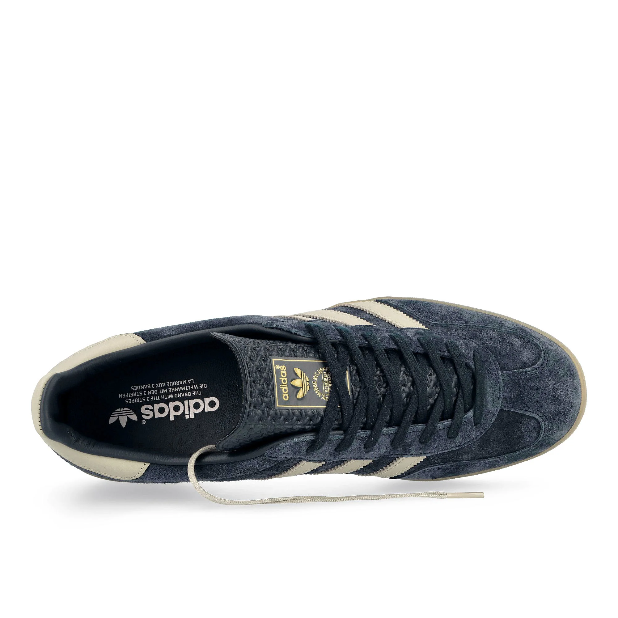 Gazelle Indoor - Image 5