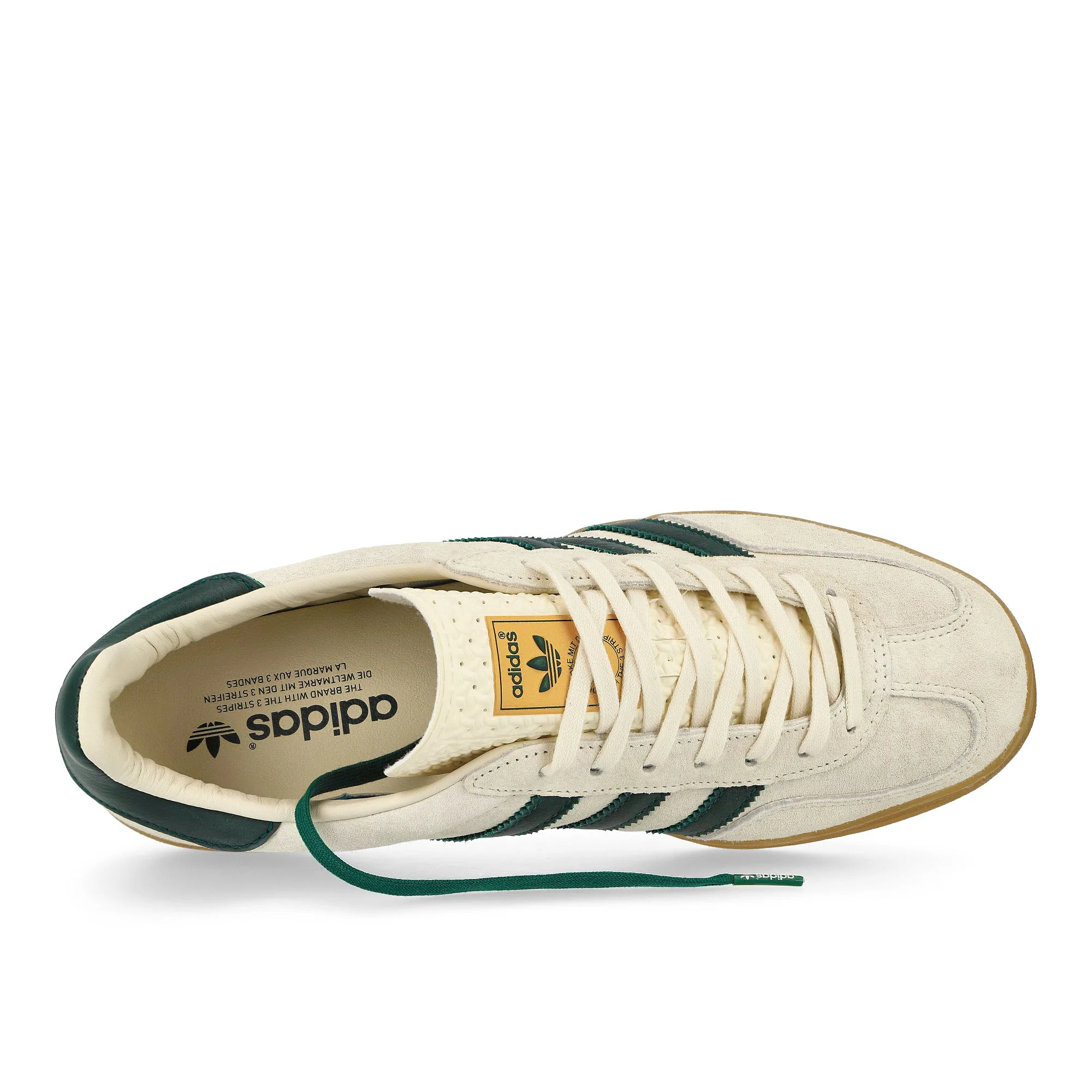 Gazelle Indoor - Image 5