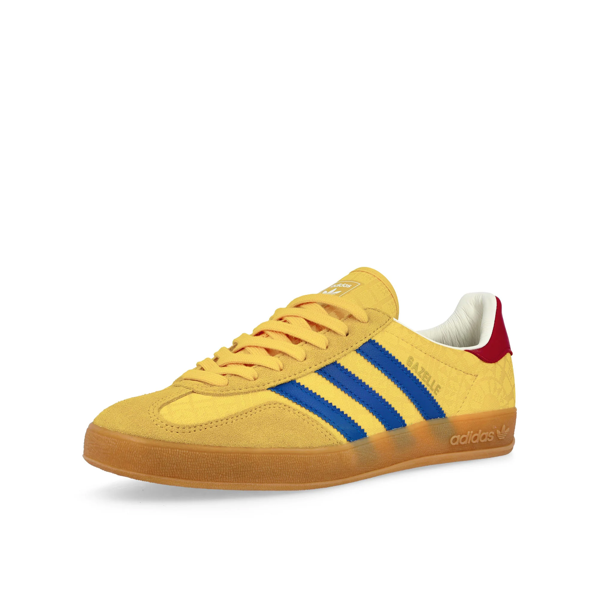 Gazelle Indoor - Image 4