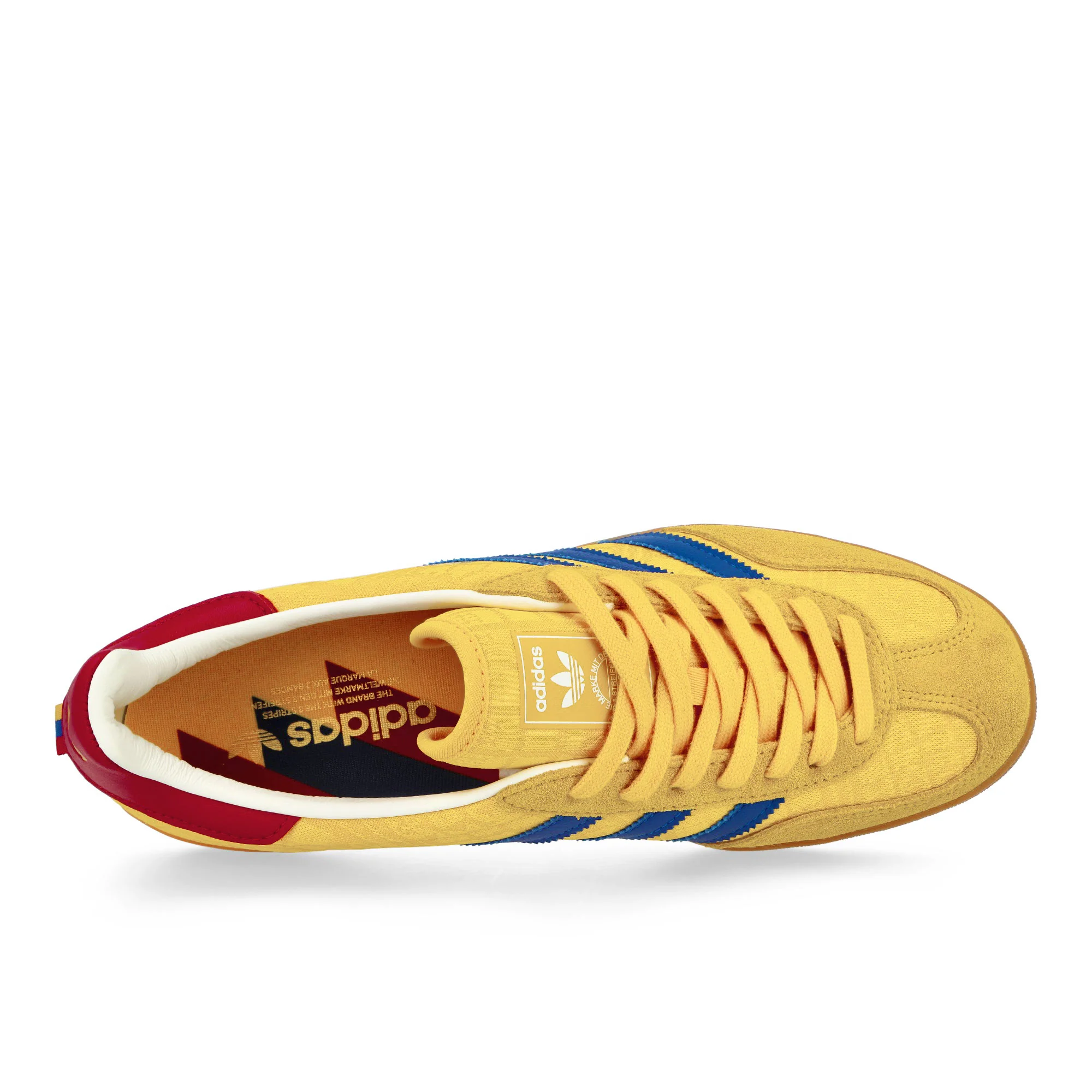 Gazelle Indoor - Image 5