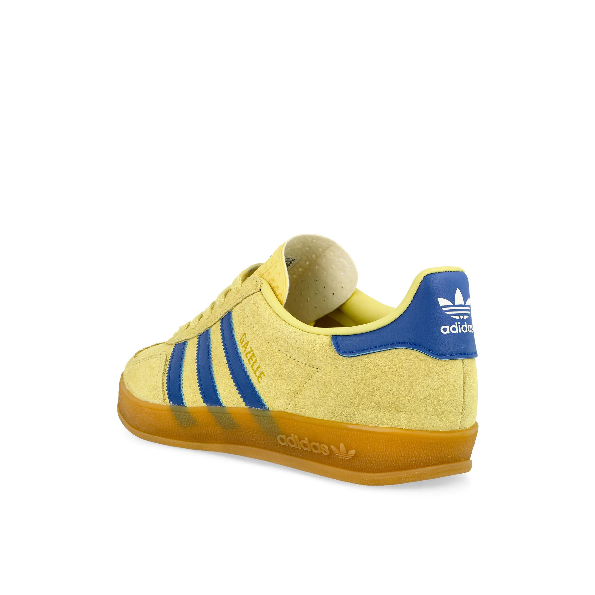 Gazelle Indoor - Image 3
