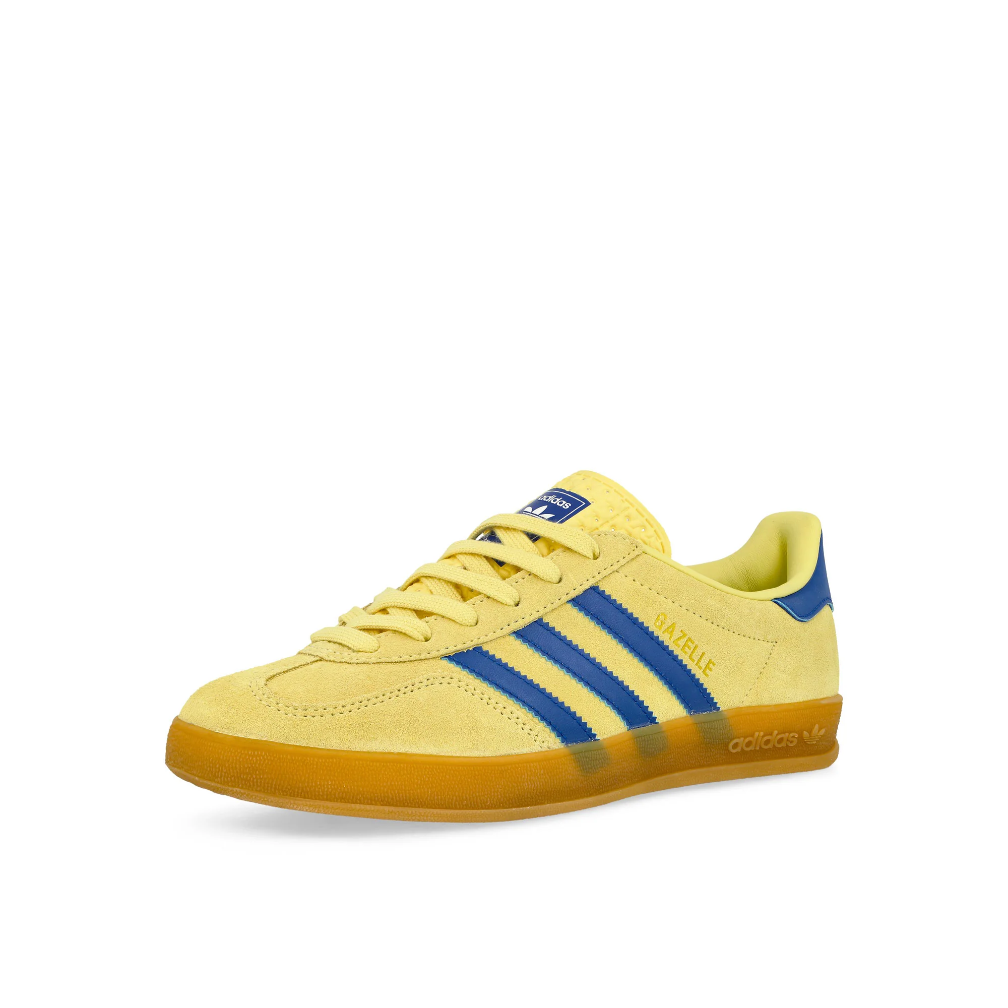 Gazelle Indoor - Image 4