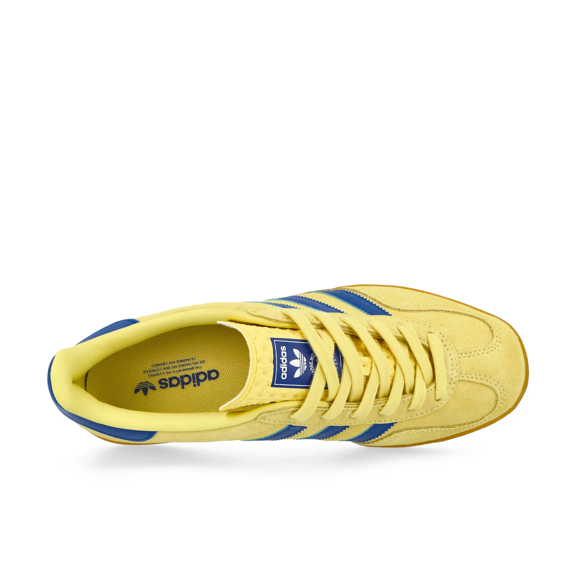 Gazelle Indoor - Image 5