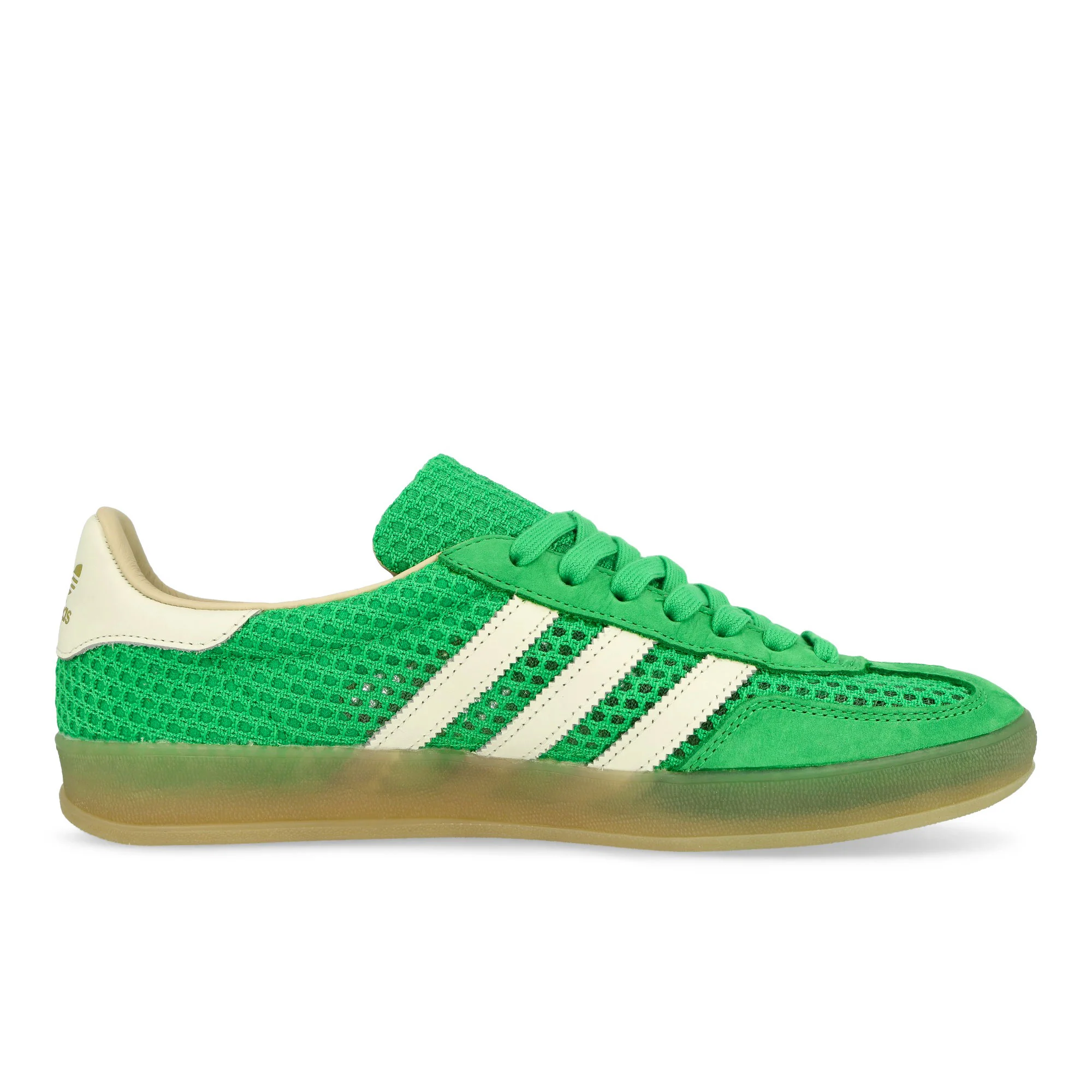 Gazelle Indoor - Image 2