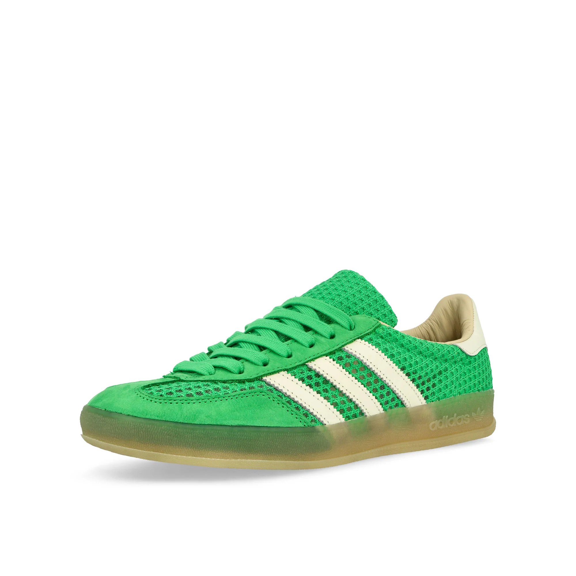 Gazelle Indoor - Image 4