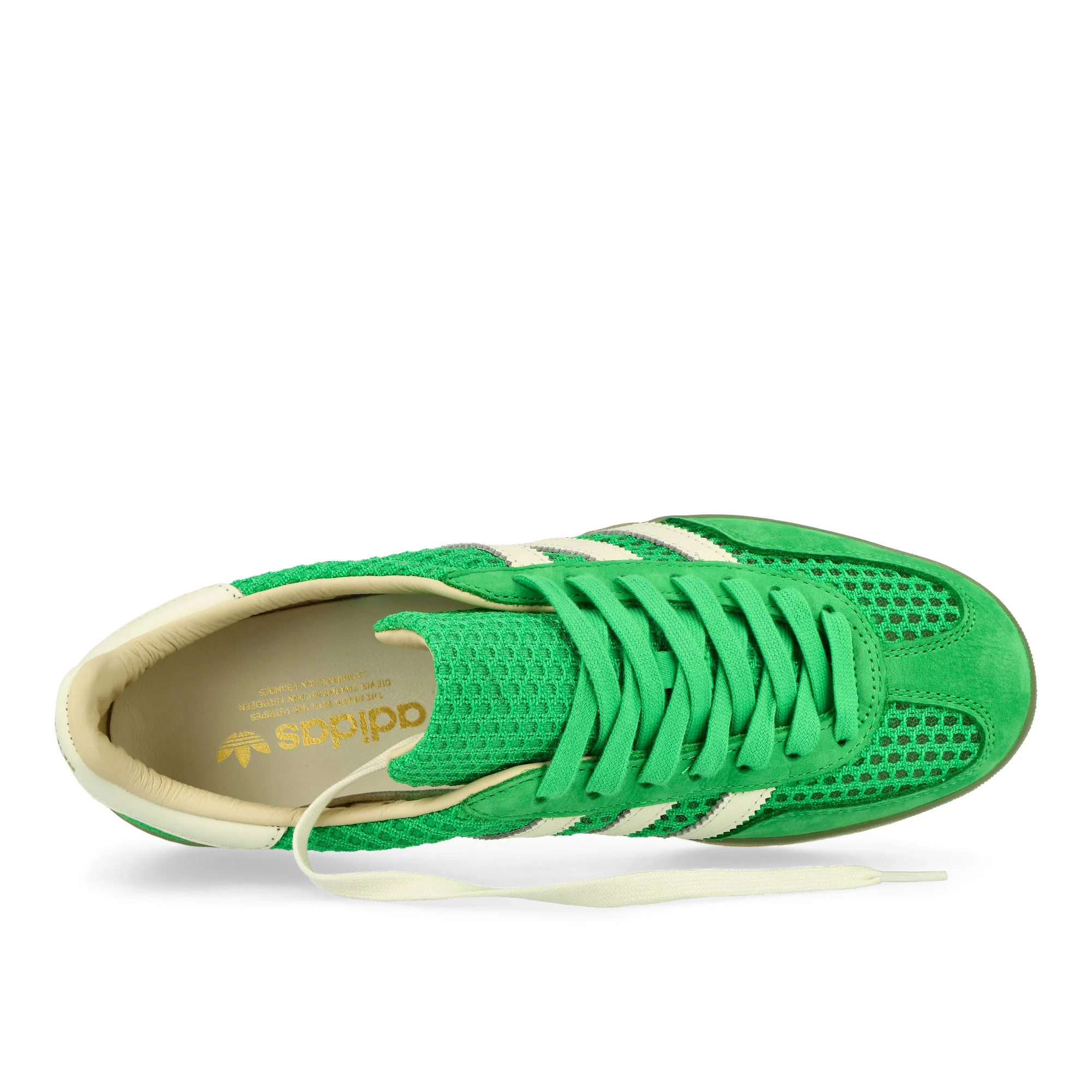 Gazelle Indoor - Image 5