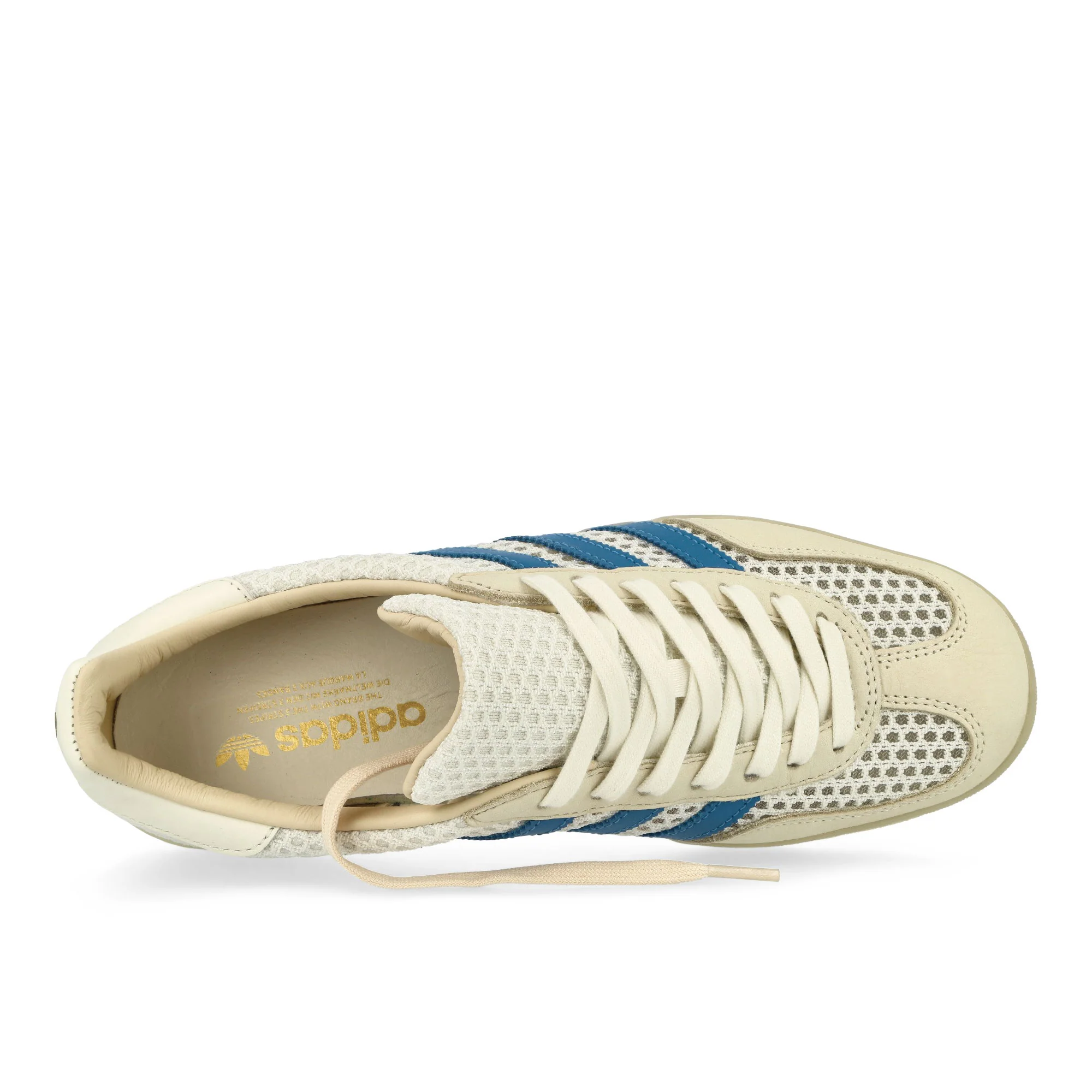 Gazelle Indoor - Image 5