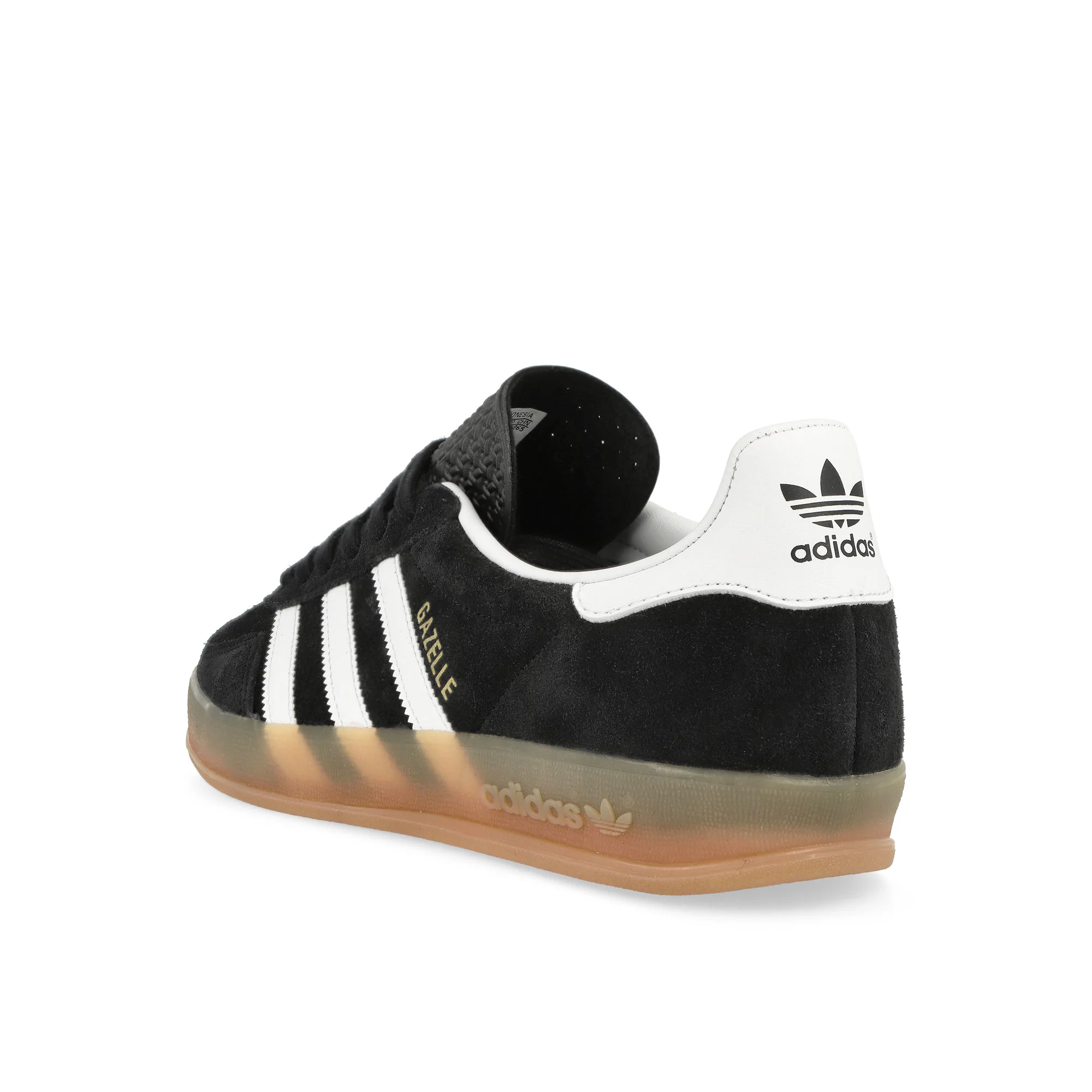 Gazelle Indoor - Image 3