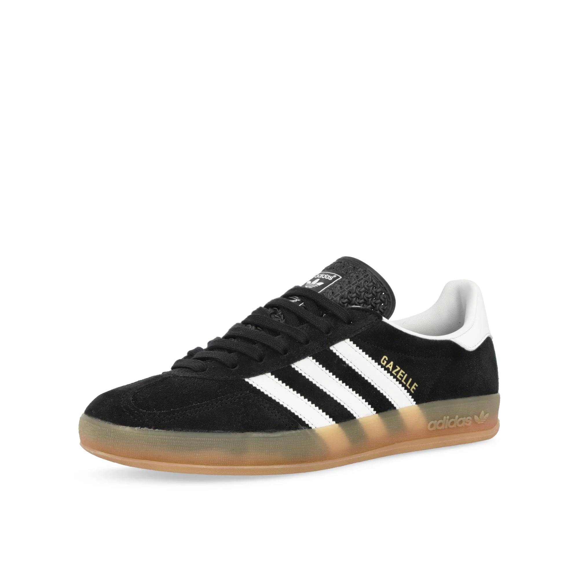 Gazelle Indoor - Image 4