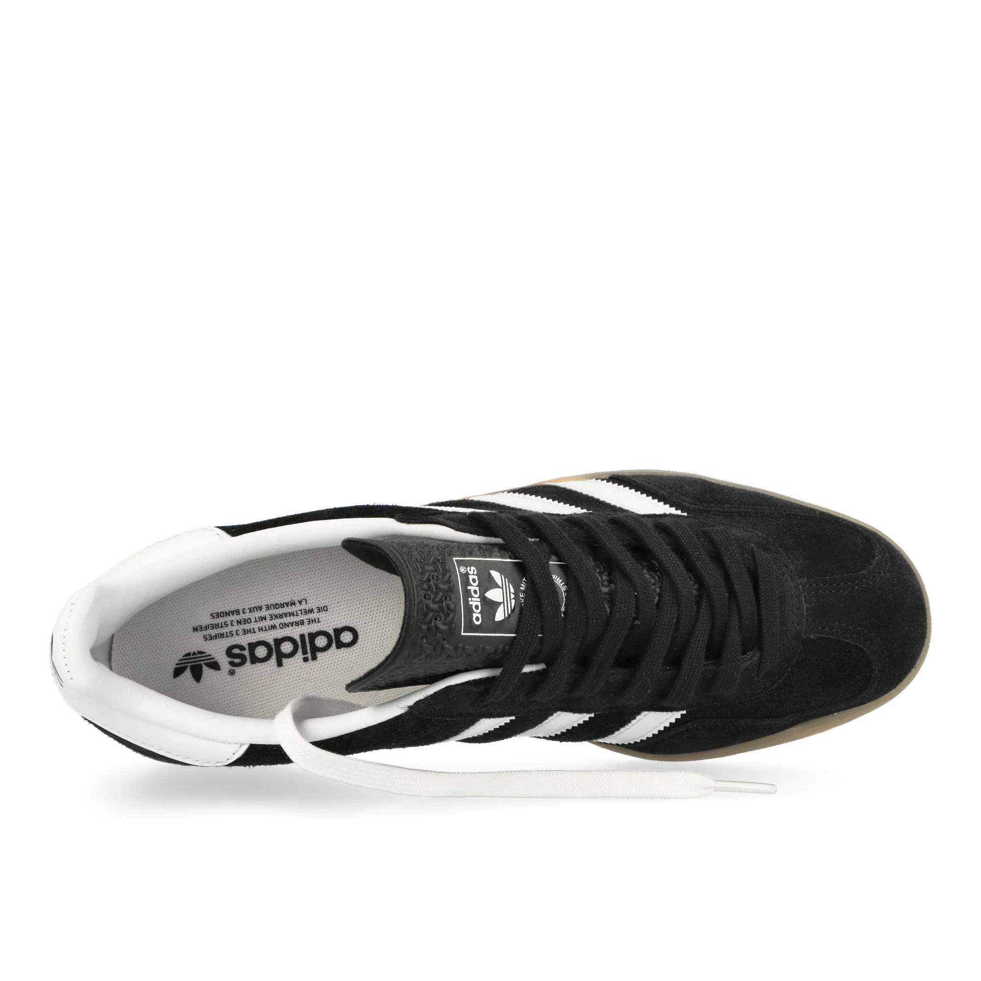 Gazelle Indoor - Image 5