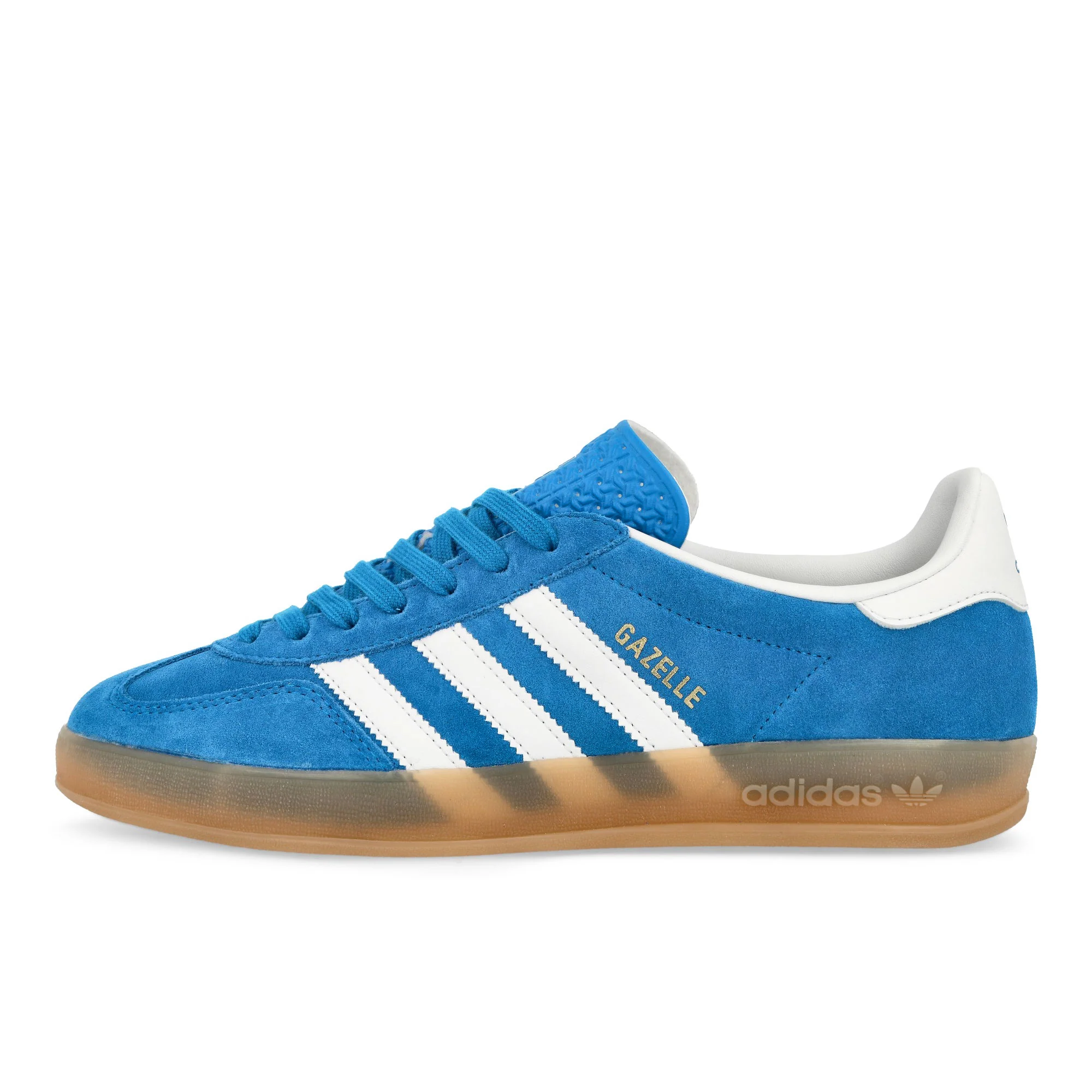 Gazelle Indoor