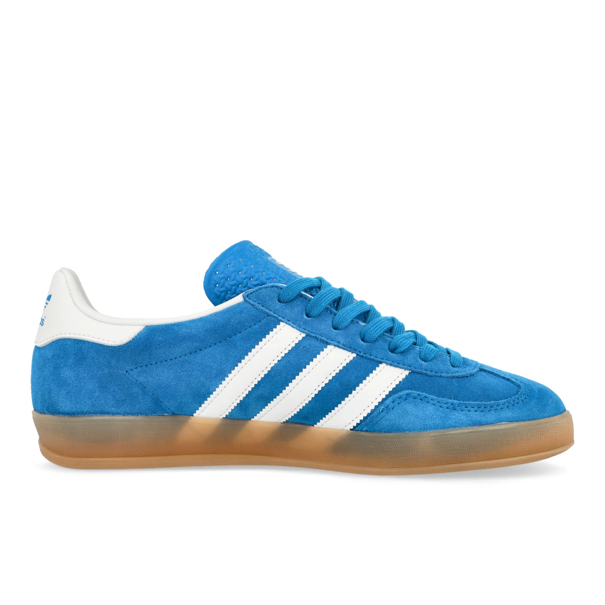 Gazelle Indoor - Image 2
