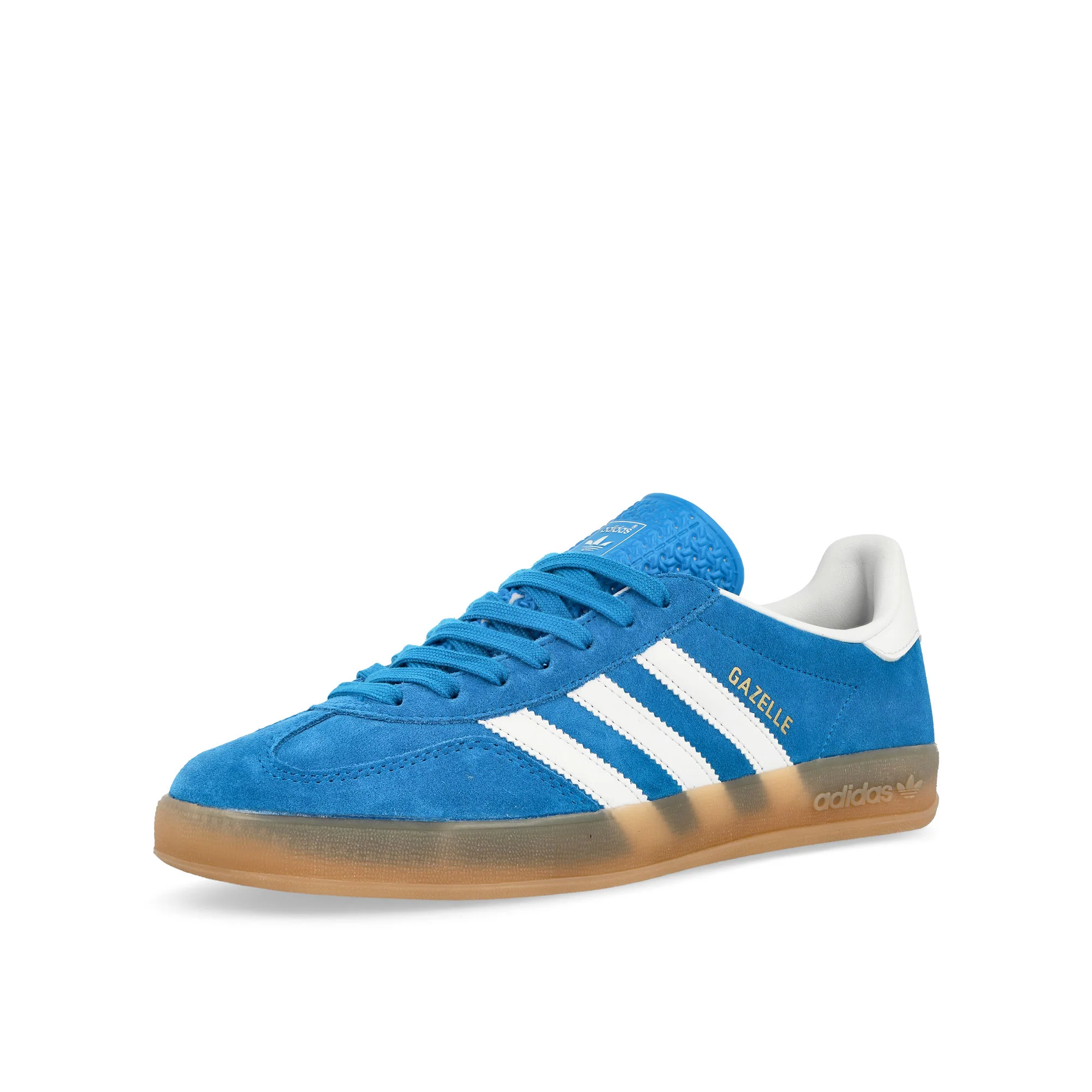 Gazelle Indoor - Image 4